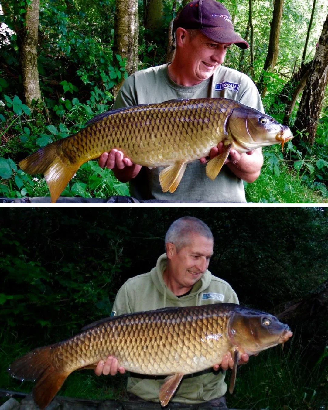 Some guests just keep coming back 🏡🎣

It was such a treat going through this greatest hits of catches that Andy shared. Over the years he's had some cracking carp from the lakes. 💪

Thinking about your first visit or 20th? Link in bio 👆

#Regular