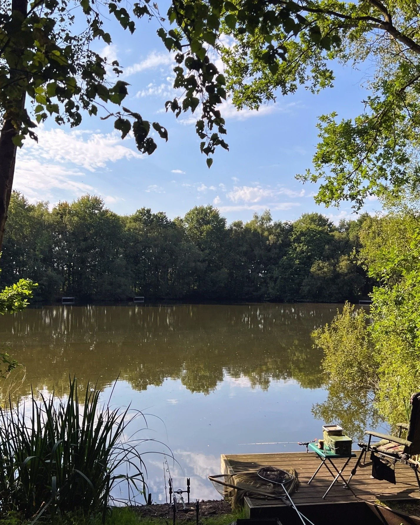 There's something special about tench fishing in May. The mornings are still cool, the water is clearing, and those olive-green fighters are worth chasing. 

Our lakes hold a good head of tench alongside the carp. They're not always easy, but that's 