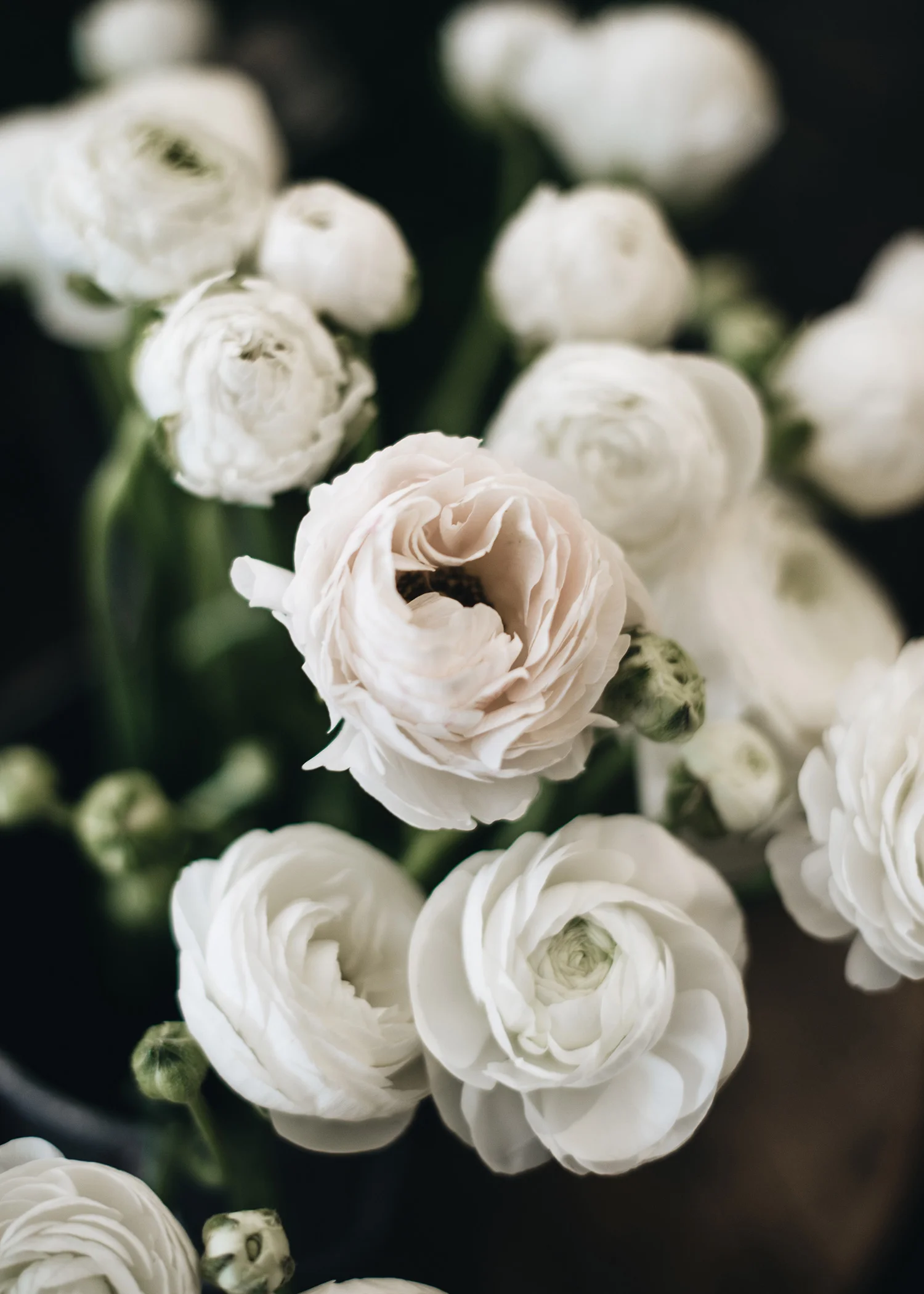 4-bunch-of-white-ranunculous.jpg