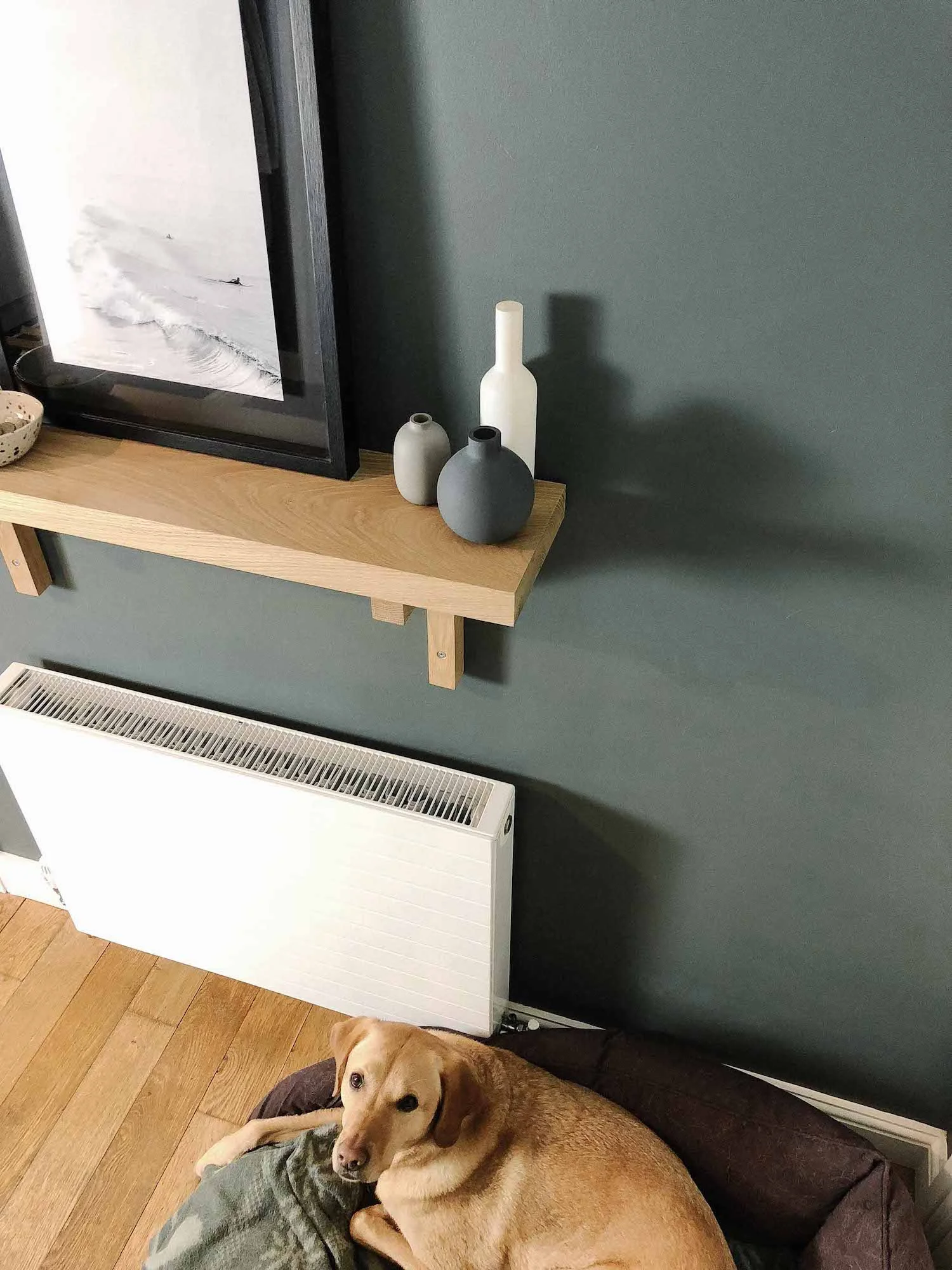 8 looking down to Biscuit and shelf.jpg