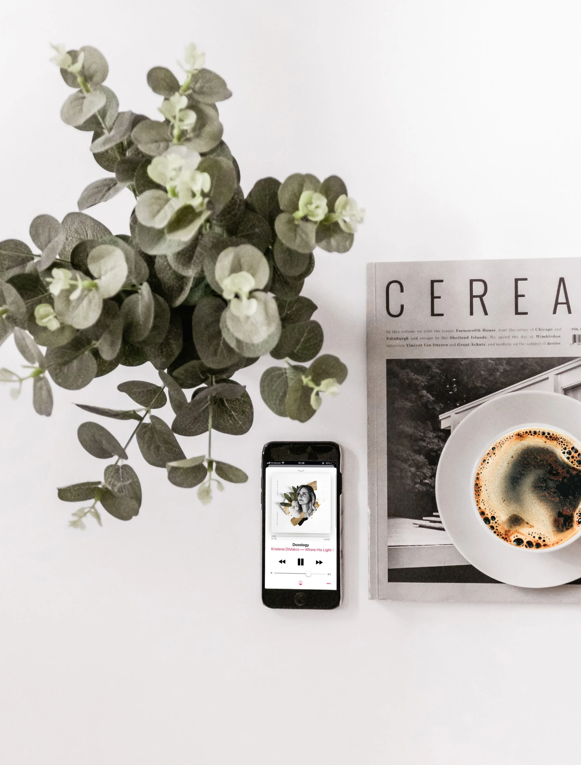 2 eucalyptus cereal magazine and coffee.jpg