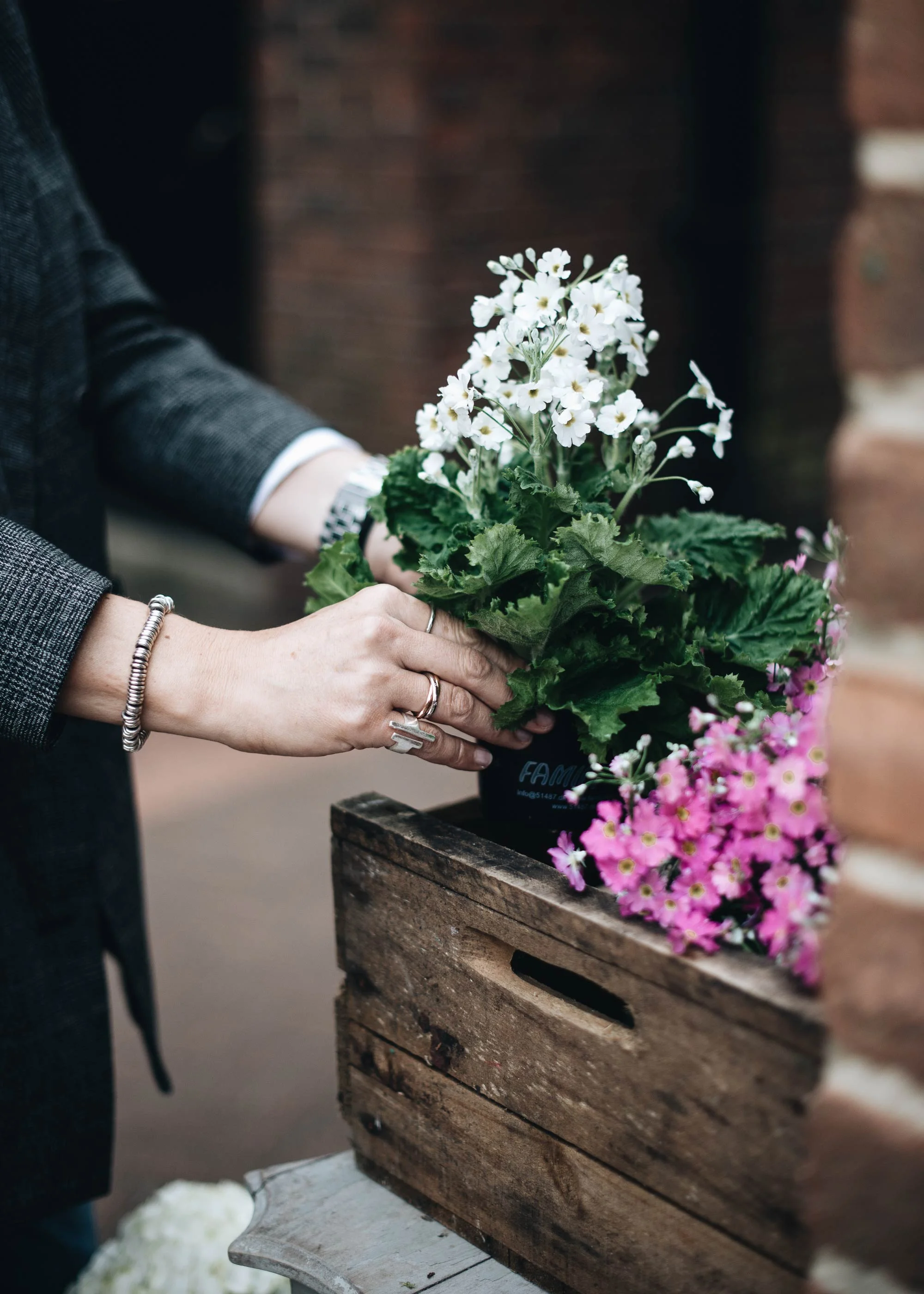 4-buying-spring-plants.jpg
