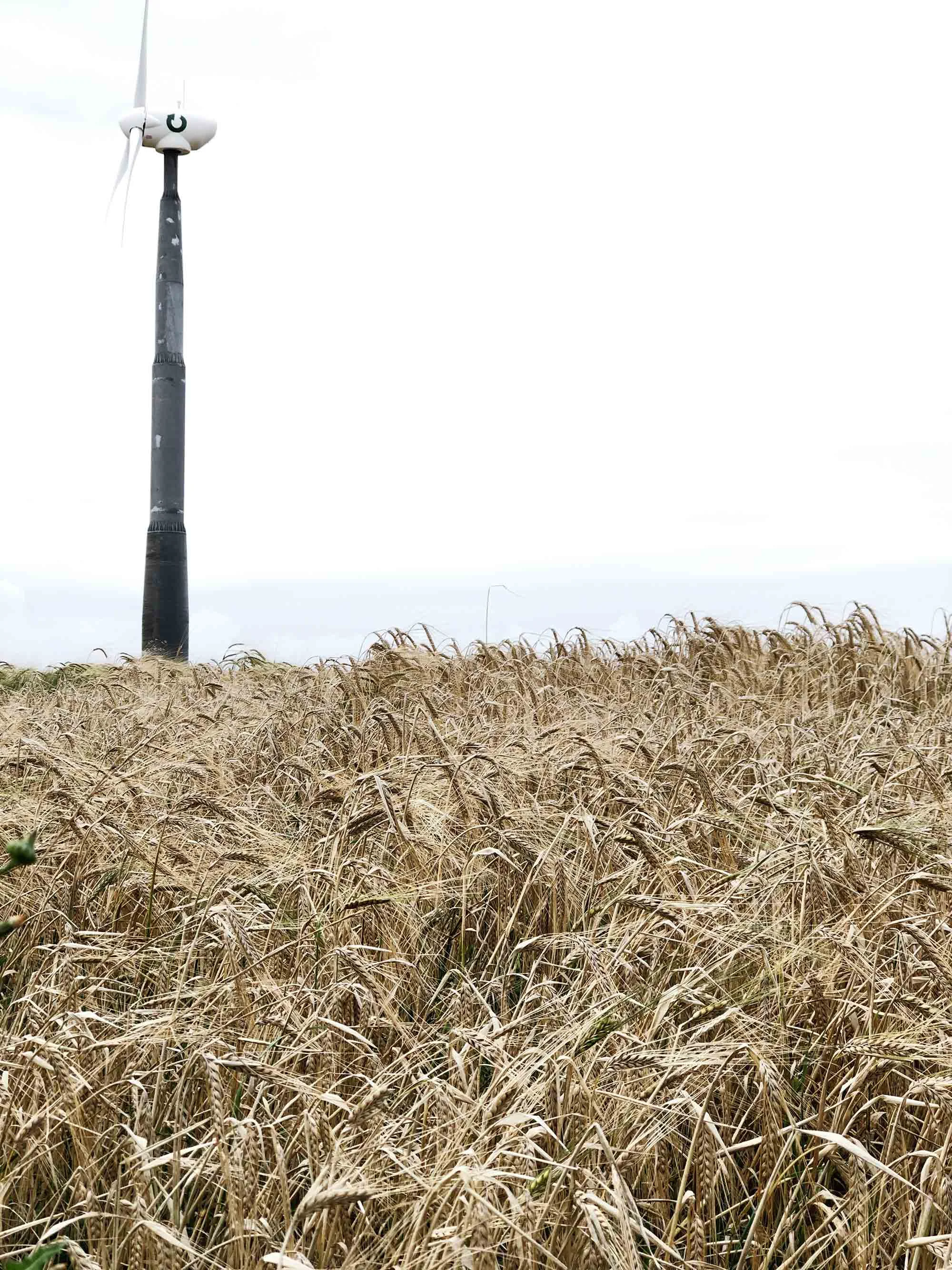 3 SBS wind-turbine-in-Cornwall.jpg
