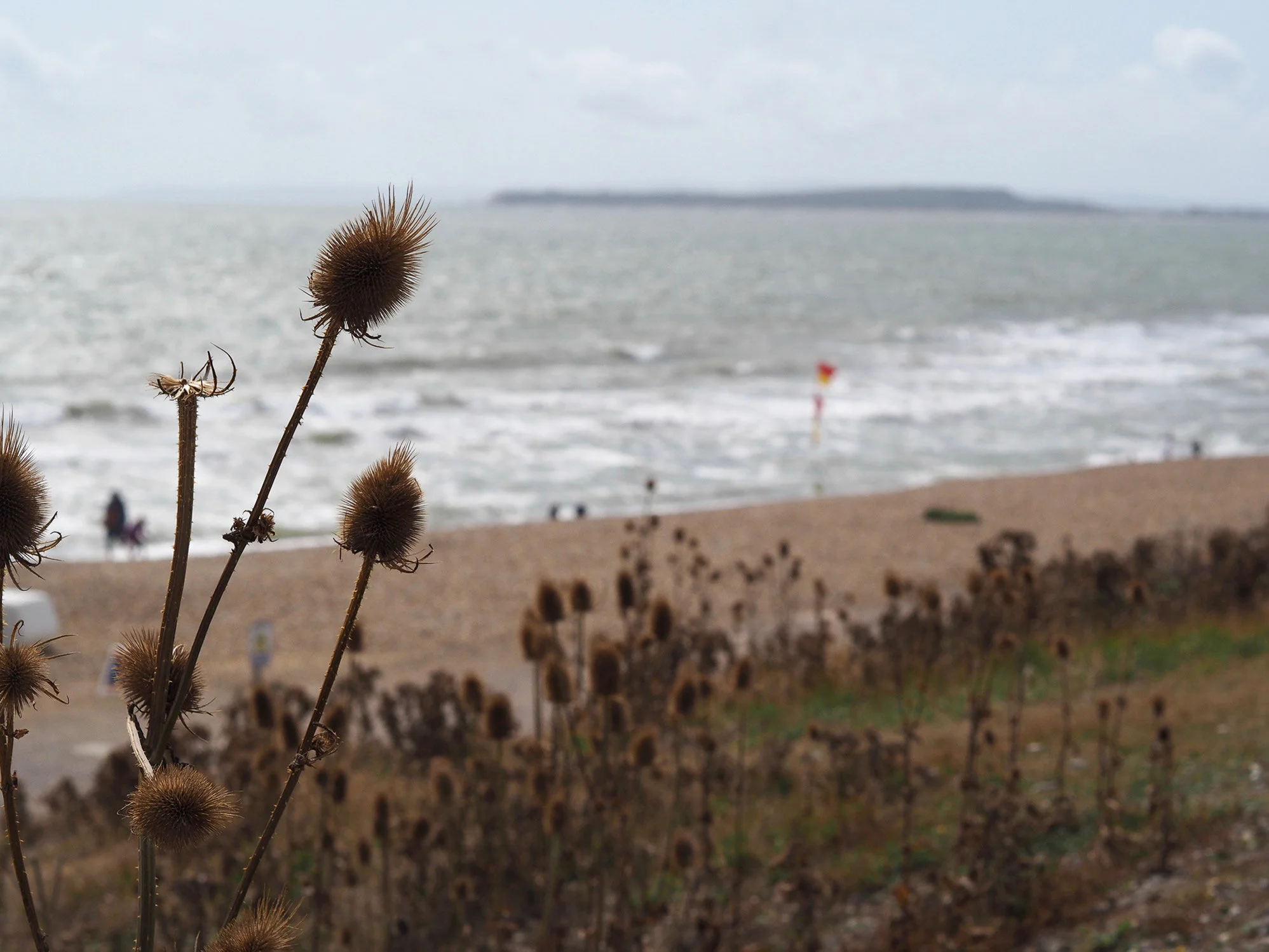 2 beach-on-a-sunny-afternoon.jpg