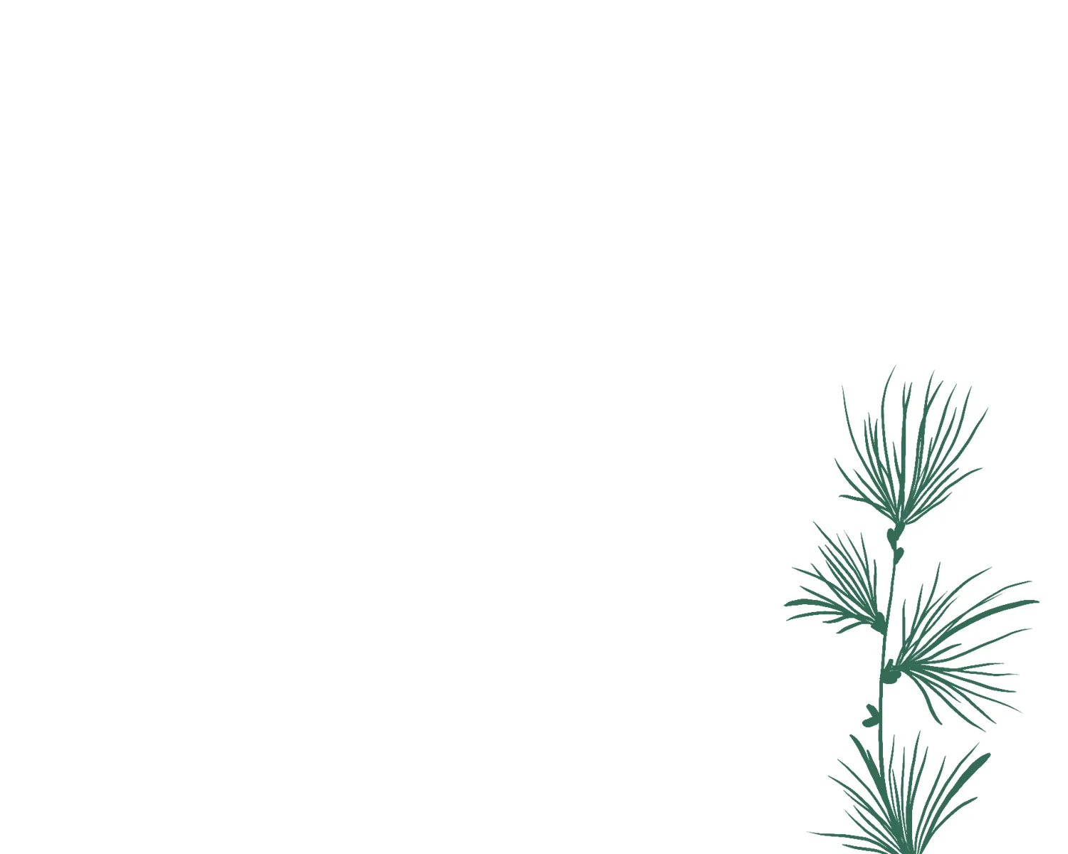 Pine-background.jpg
