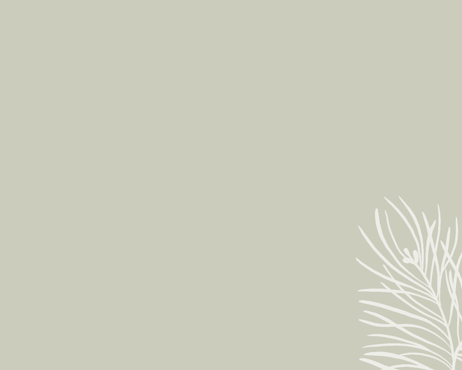 Vale de Moses Background (9).png