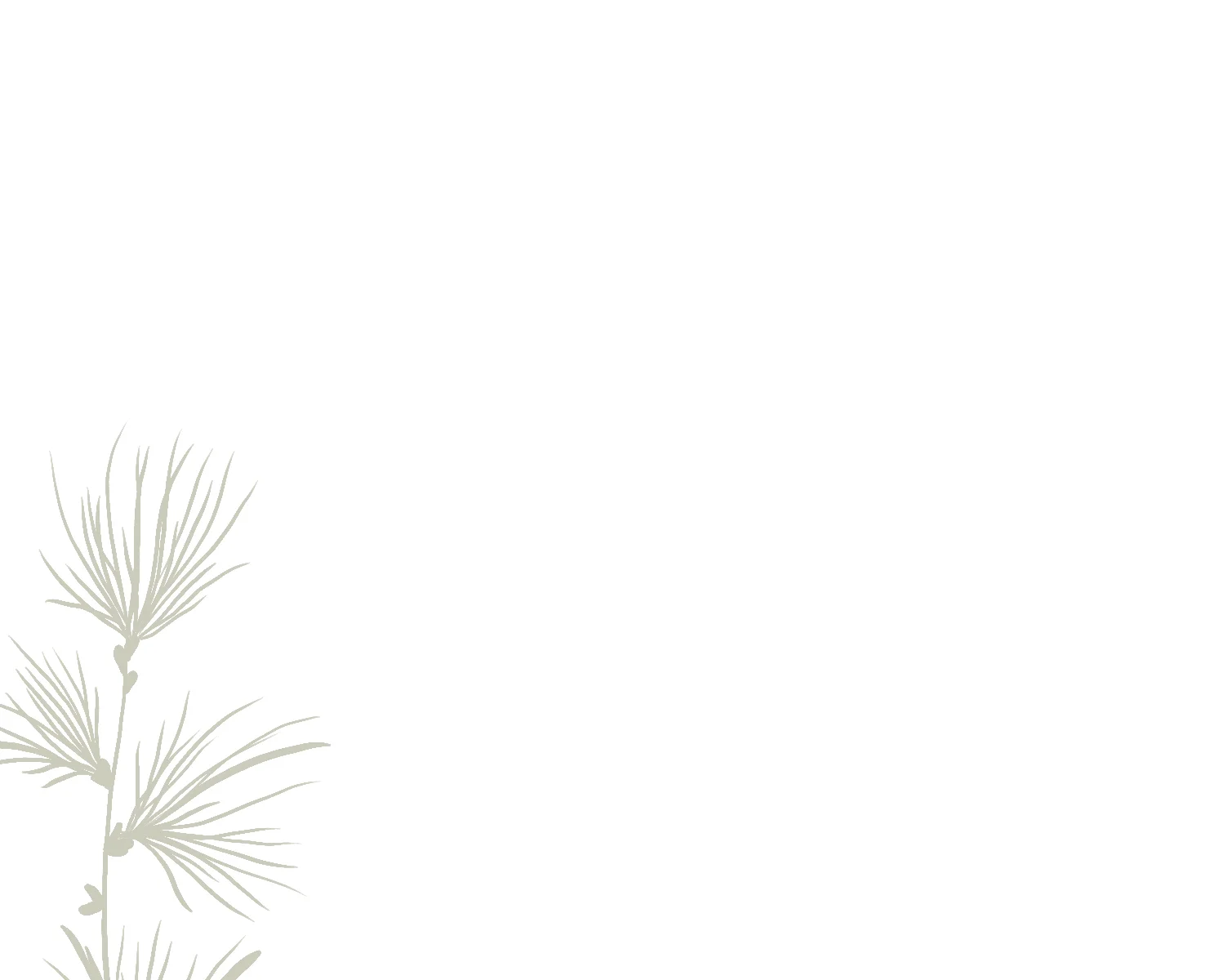Pine-background-light.jpg