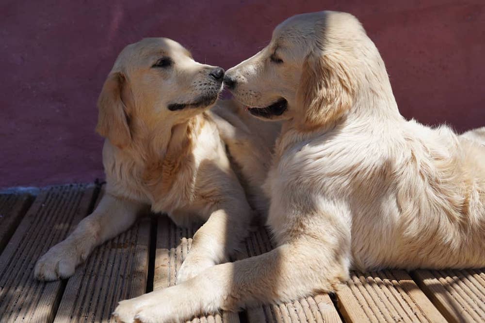 Lucy &amp; Theo bonding