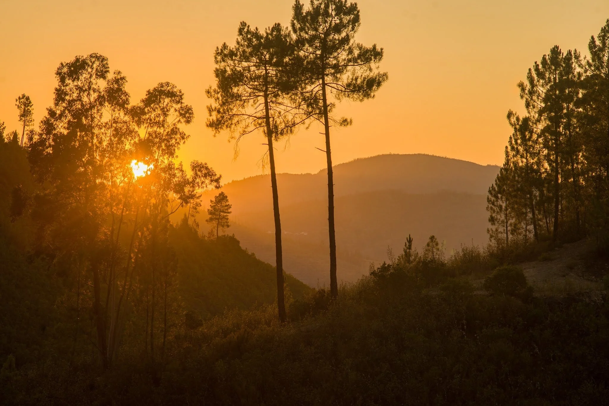 Vale de Moses sunset.jpg