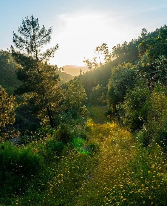 Path to RecoverED - Private Retreat