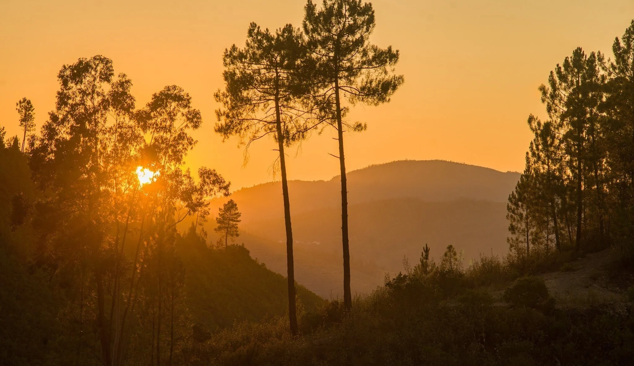 Vale+de+Moses+sunset.jpg