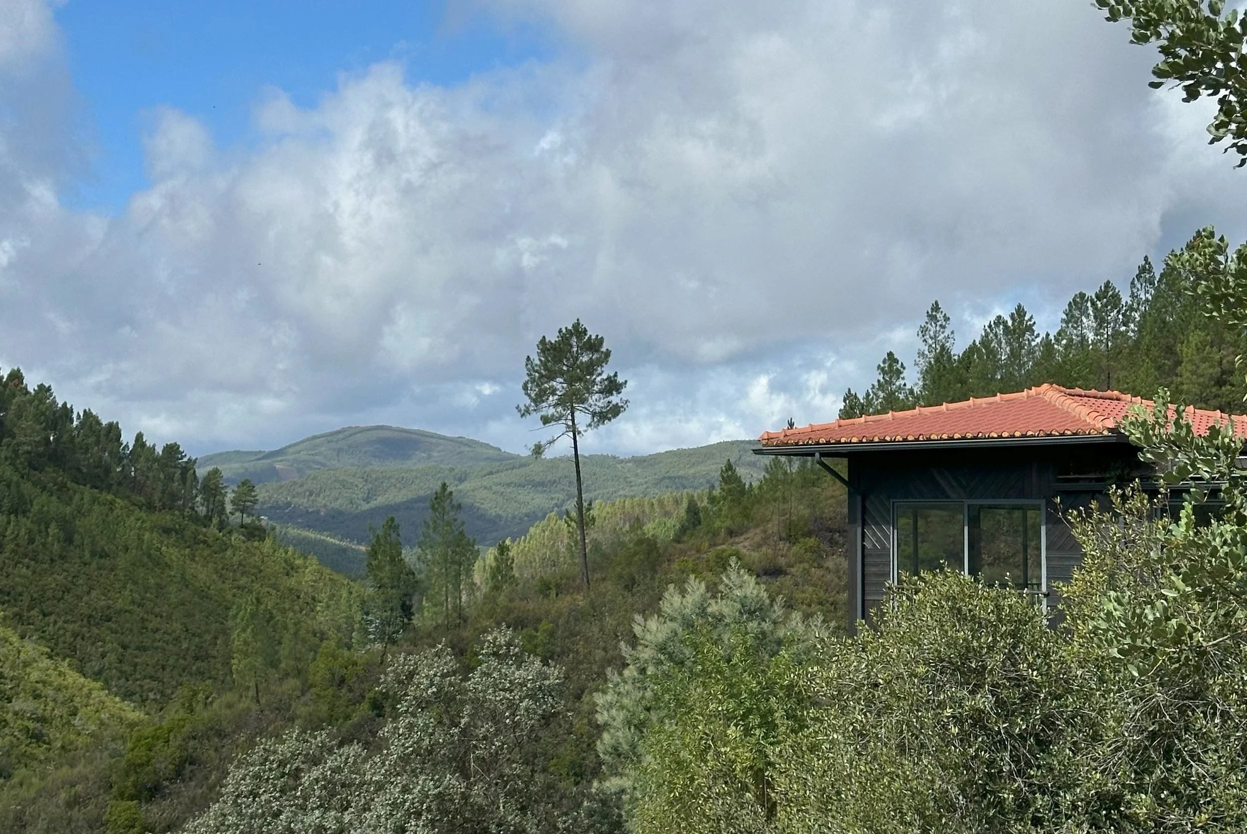 EL Valley View.jpg