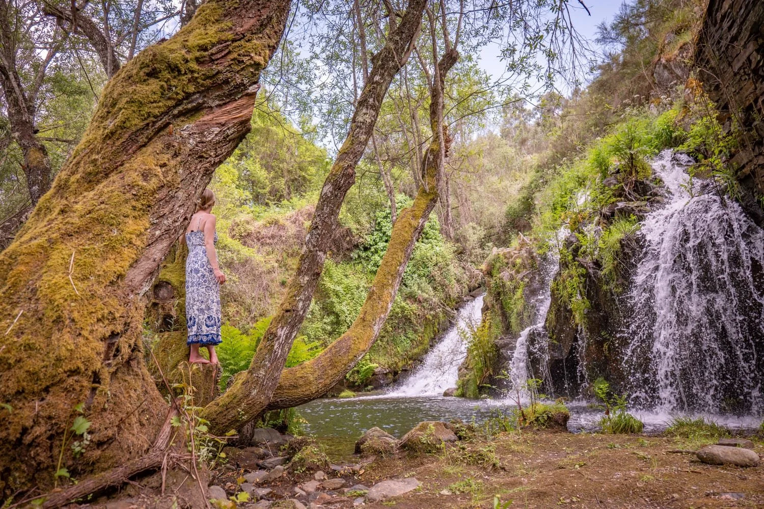 Waterfall paradise.jpg