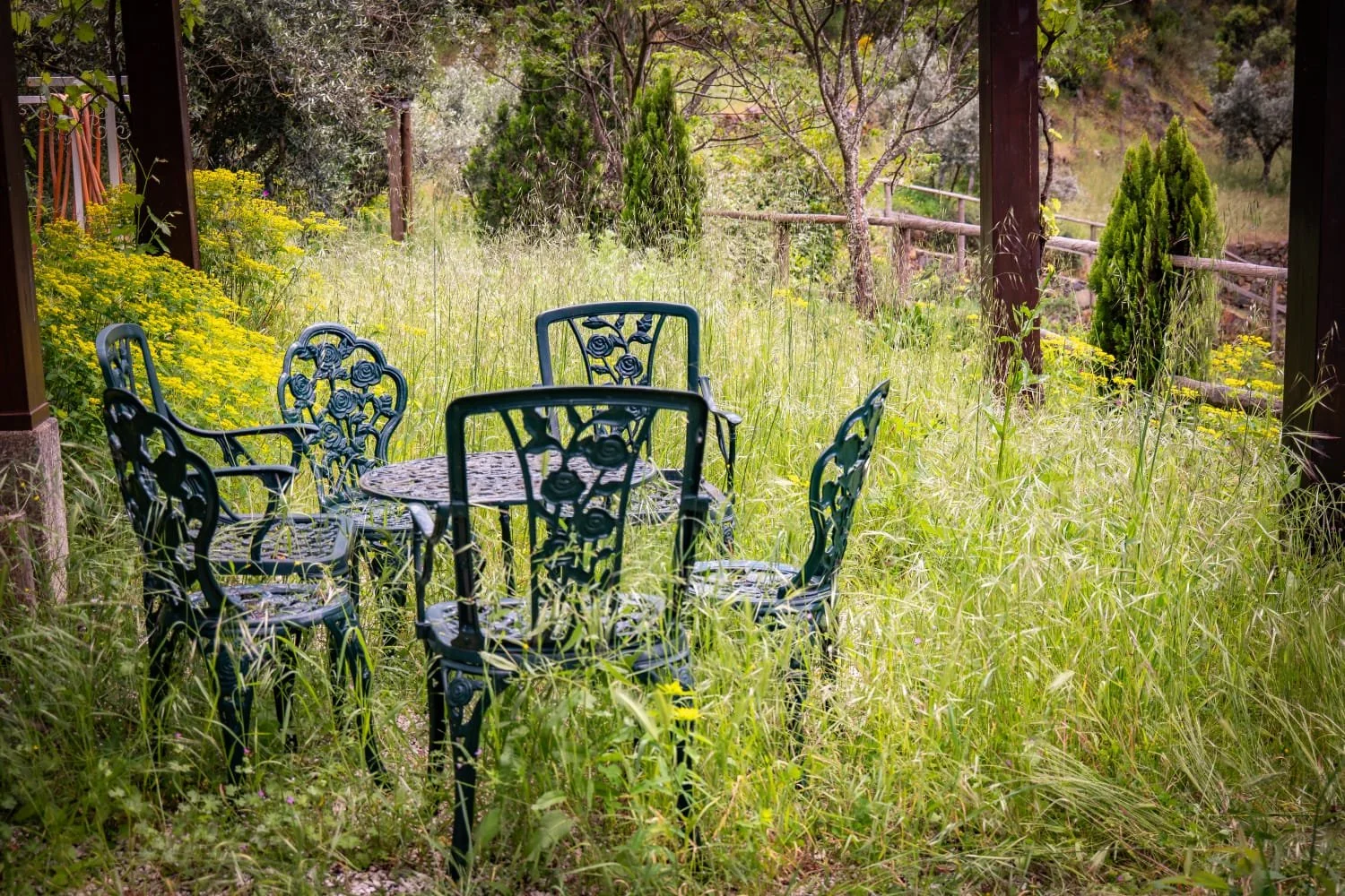 Chairs in Spring.jpg