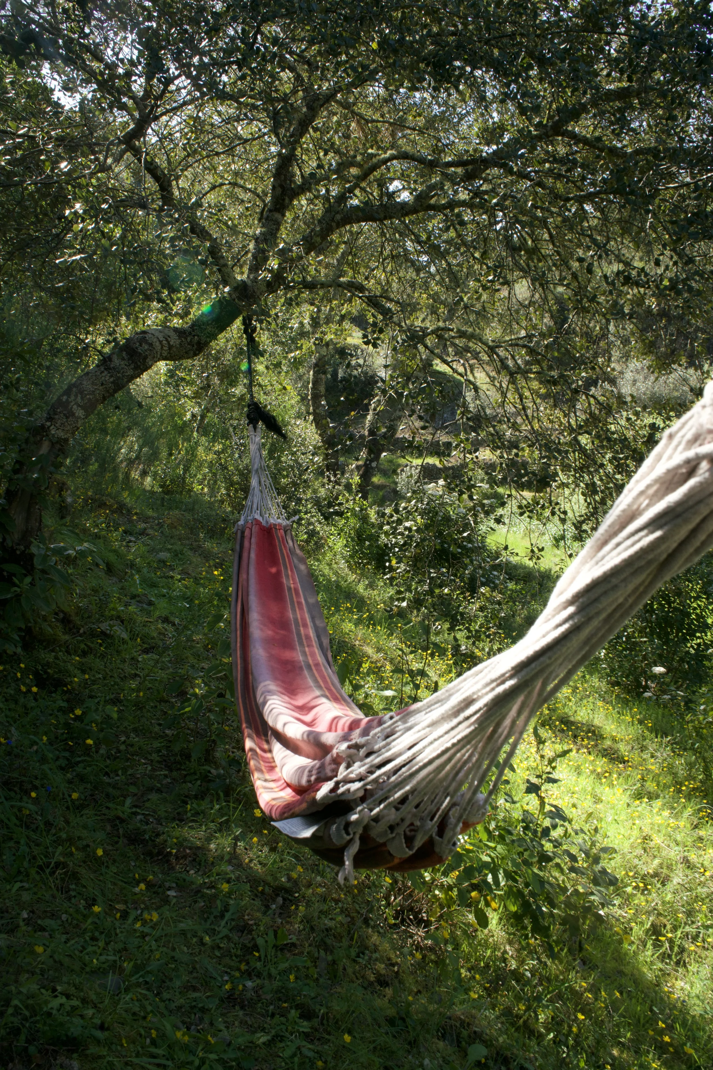 retreat hammocks.jpeg
