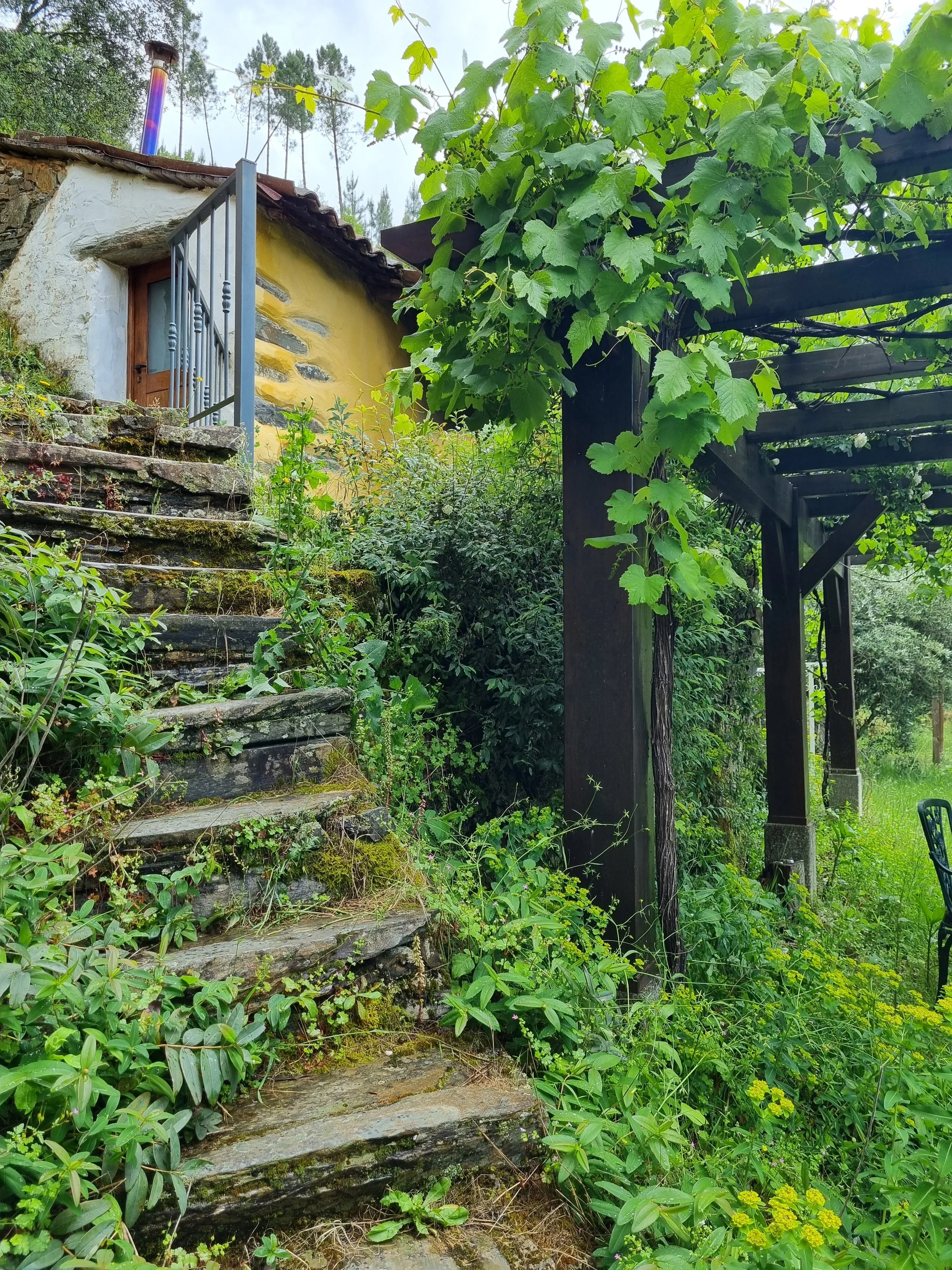 natureretreat.jpg