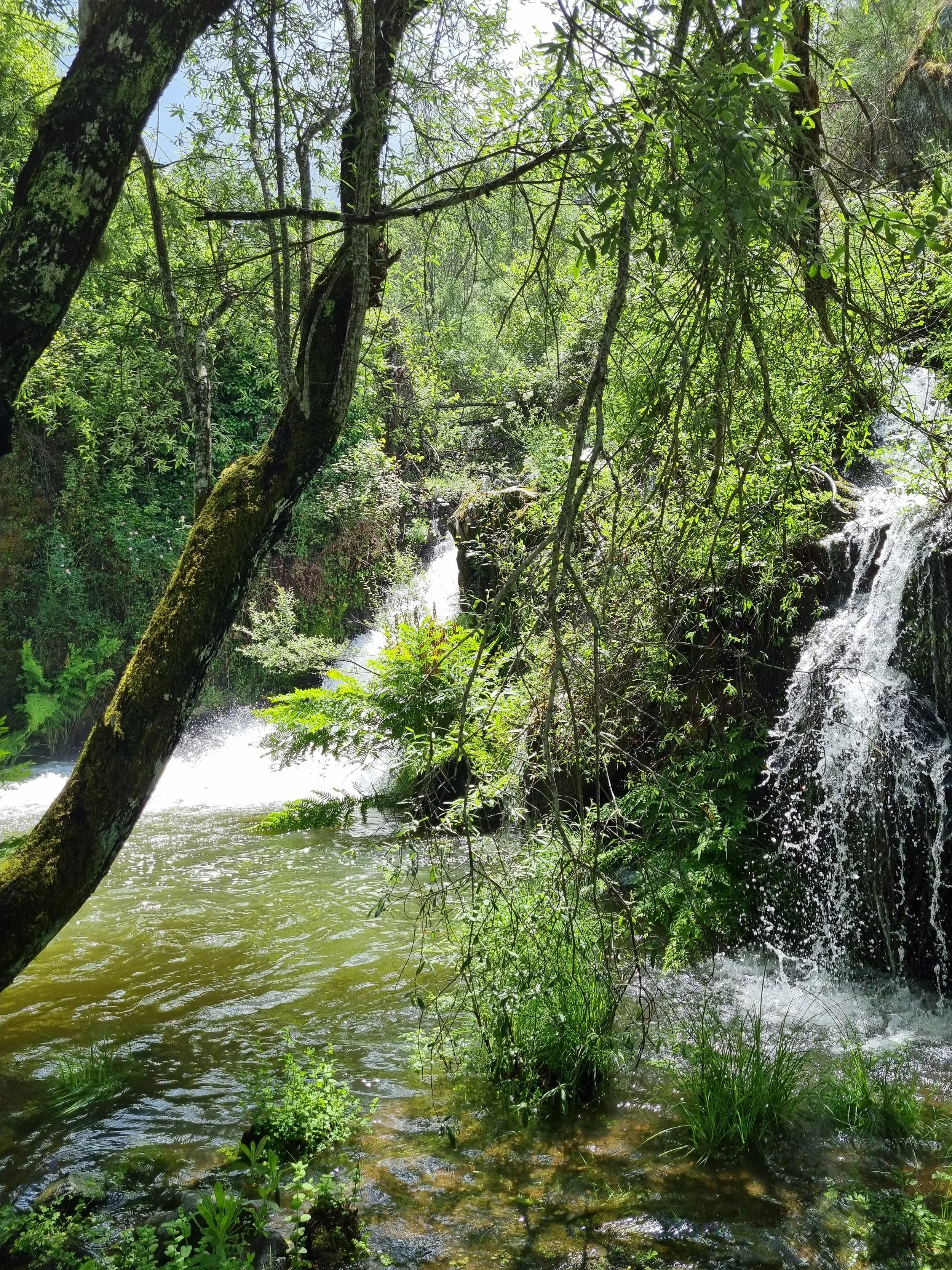 retreat waterfall.jpg