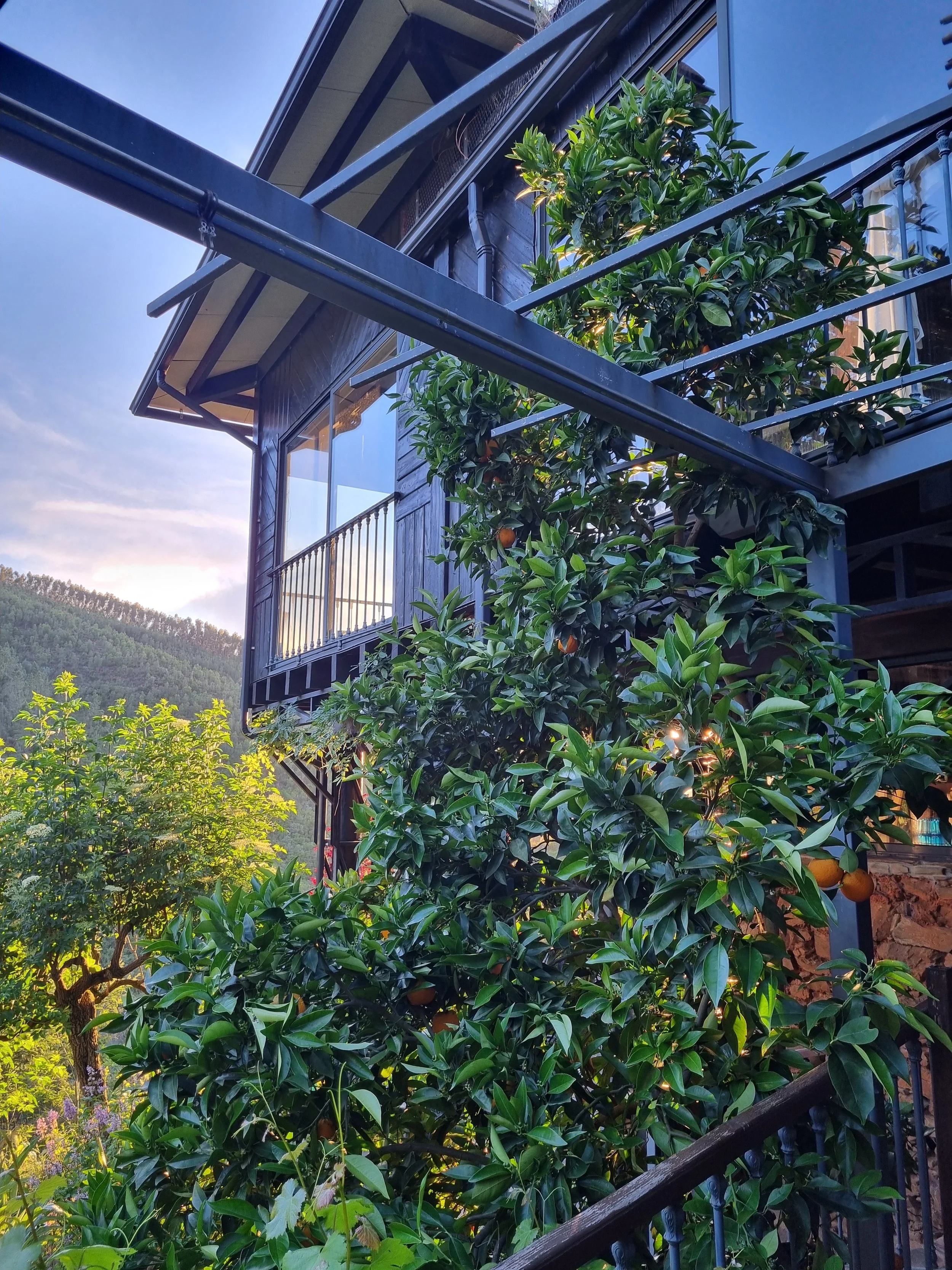vale de moses retreat shala.jpg