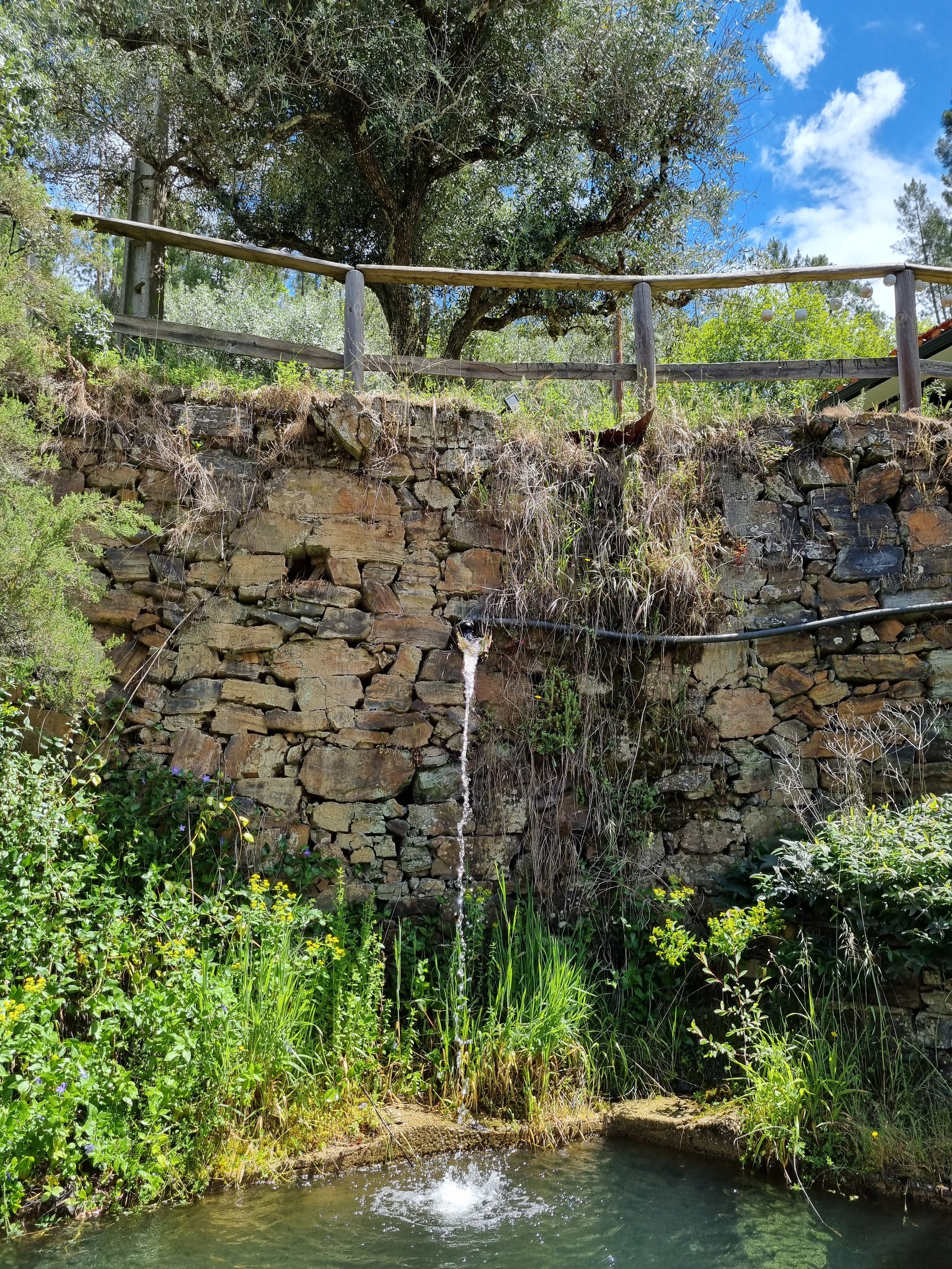vale de moses plunge pool.jpg