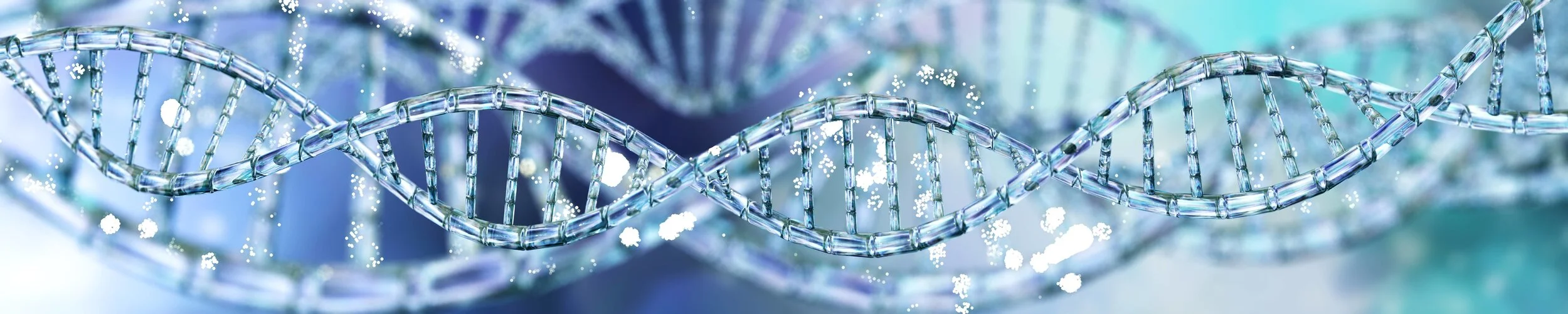 Biology Banner2.jpeg