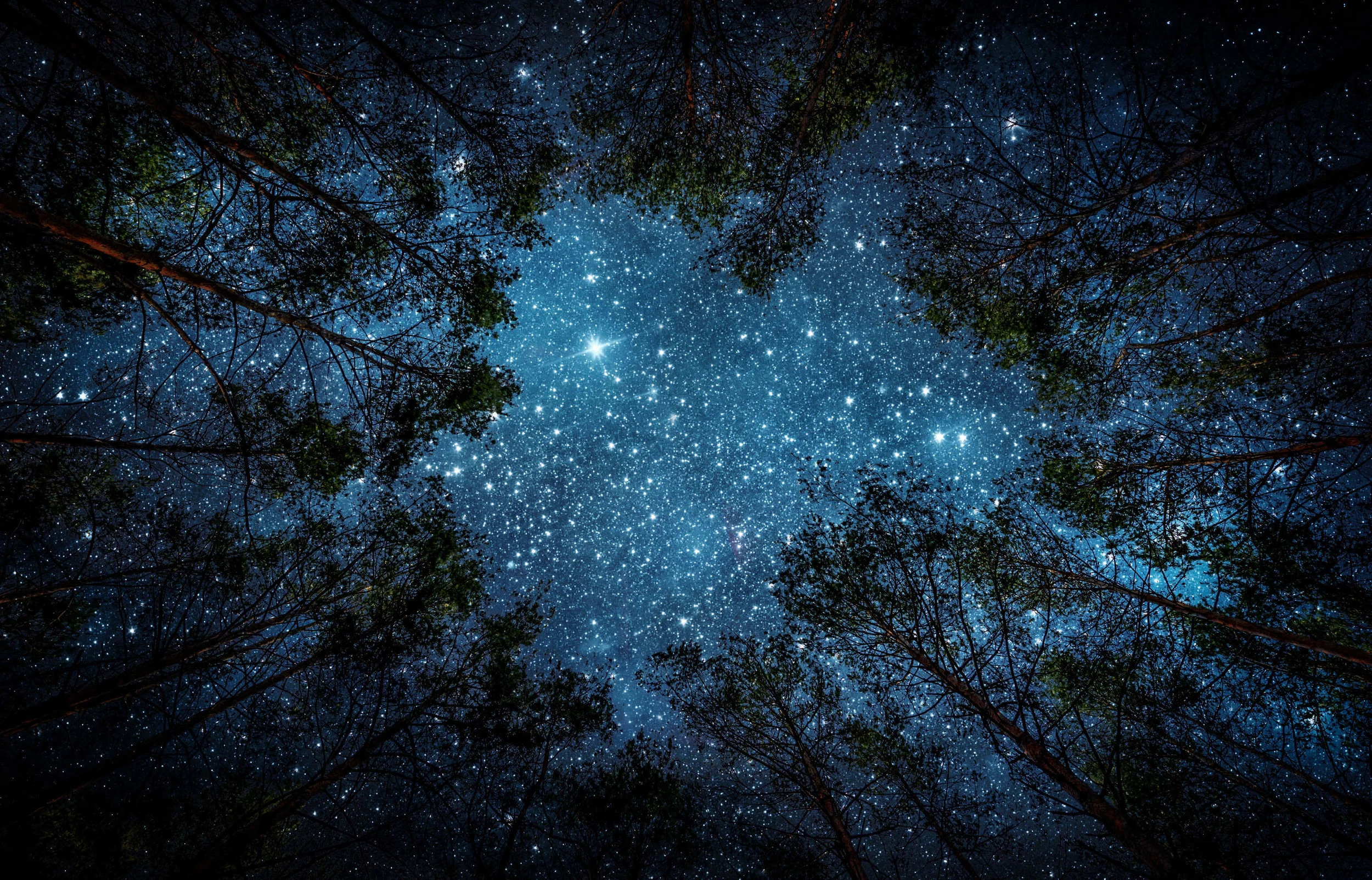 shutterstock_535318603-2.jpg