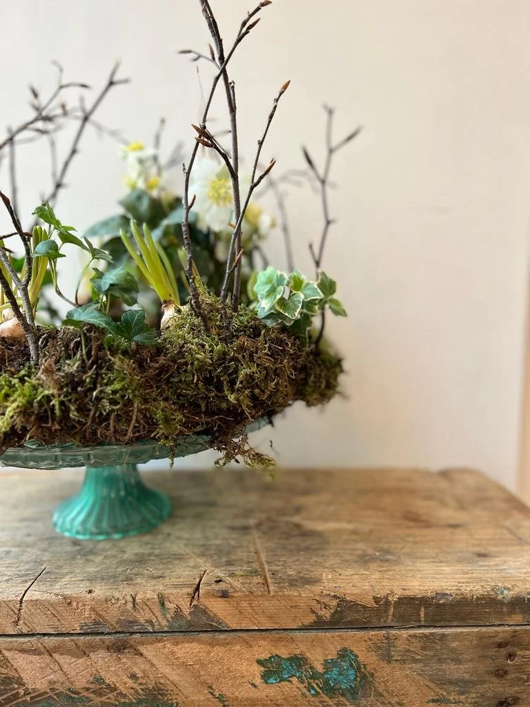 Mother's Day - Spring Living Wreath Workshop