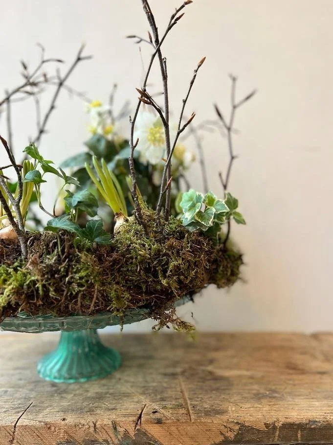 Spring Living Wreath with bulbs on green cake plate
