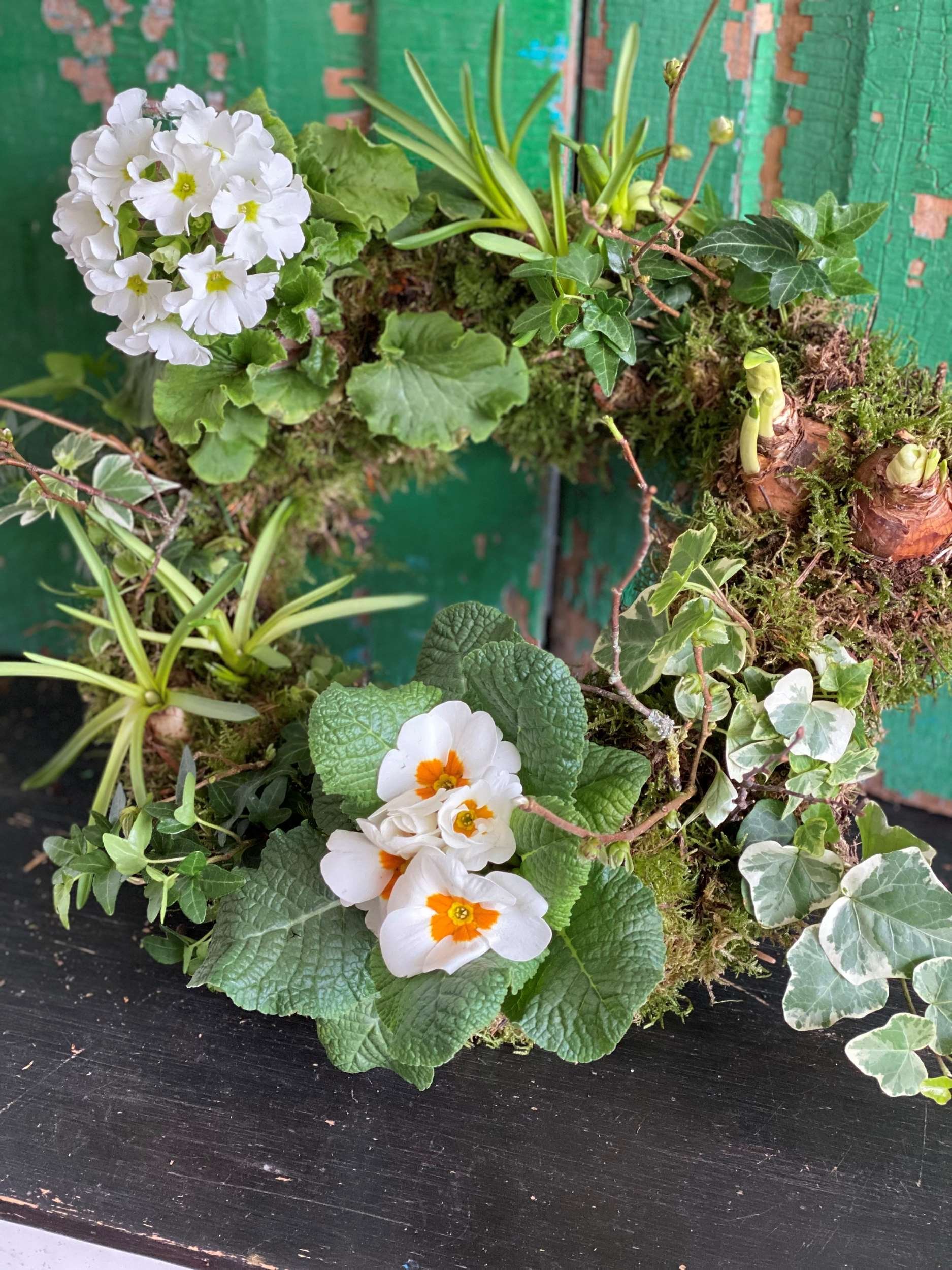 Lush looking living wreath made on Mother's day workshop
