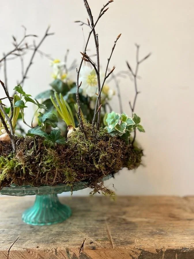 Mother's Day - Spring Living Wreath Workshop