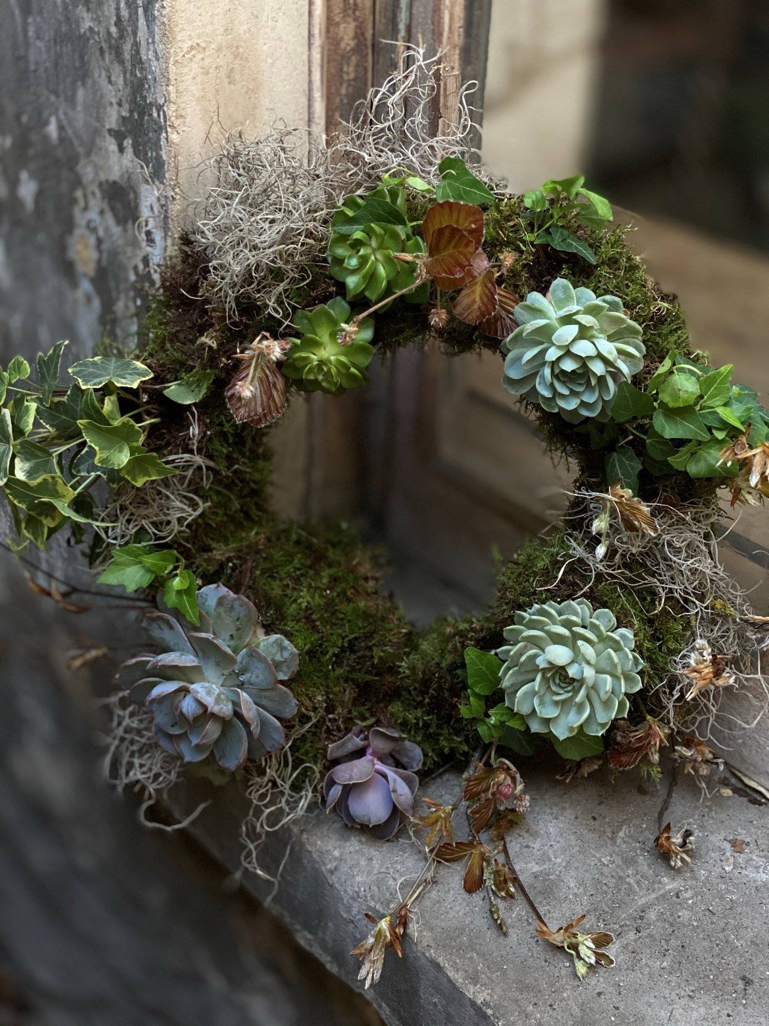 Organically arranged succulent living wreath made at The Bath Flower School 