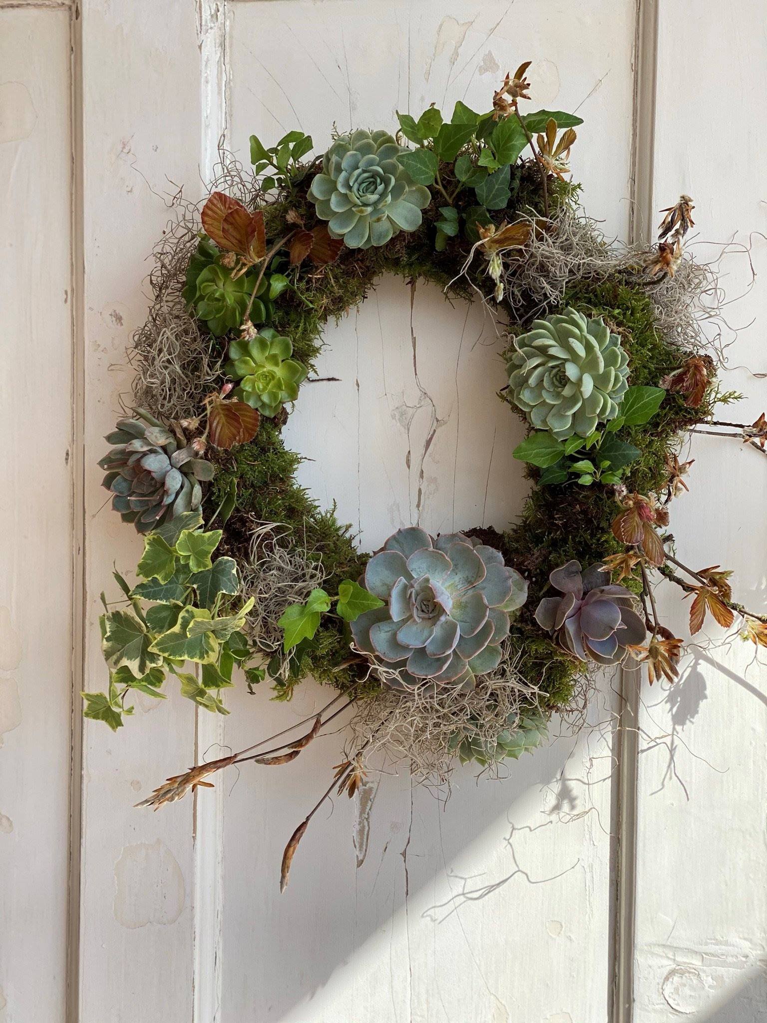 Succulent living wreath displayed on white door