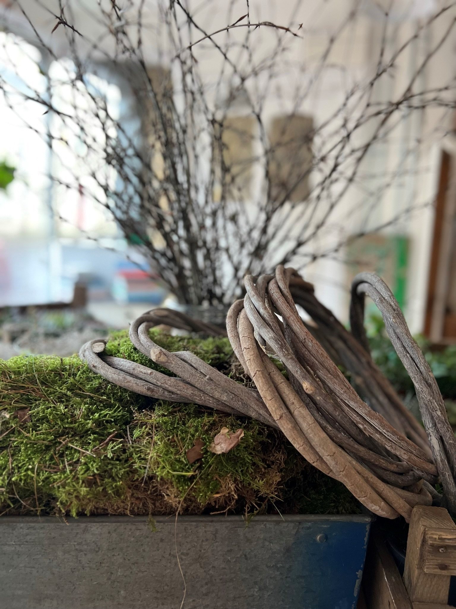 Moss, twigs and willow bases at The Bath Flower School