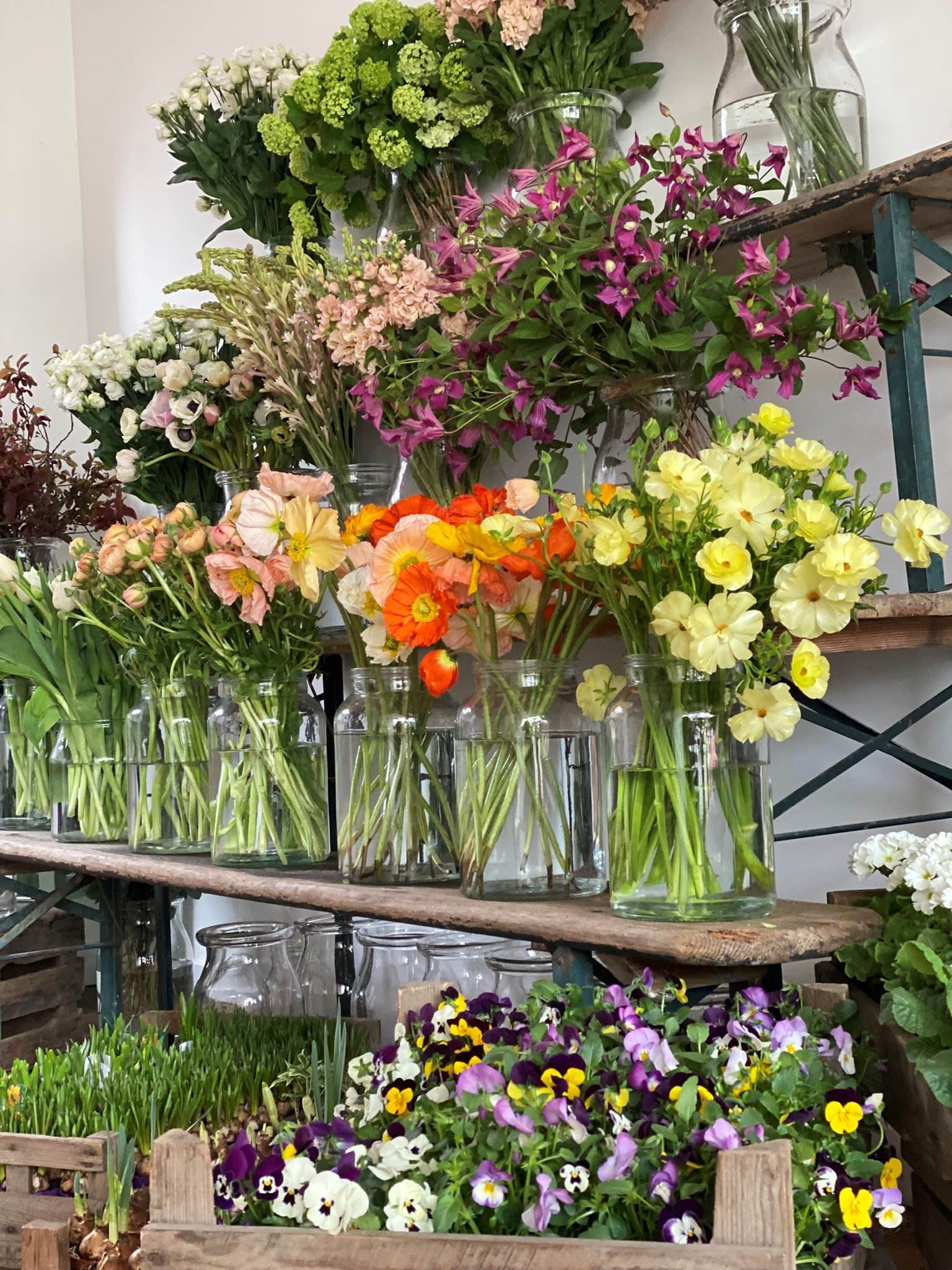 Flower stand full of brightly coloured flowers for the  sustainable floristry foundation course