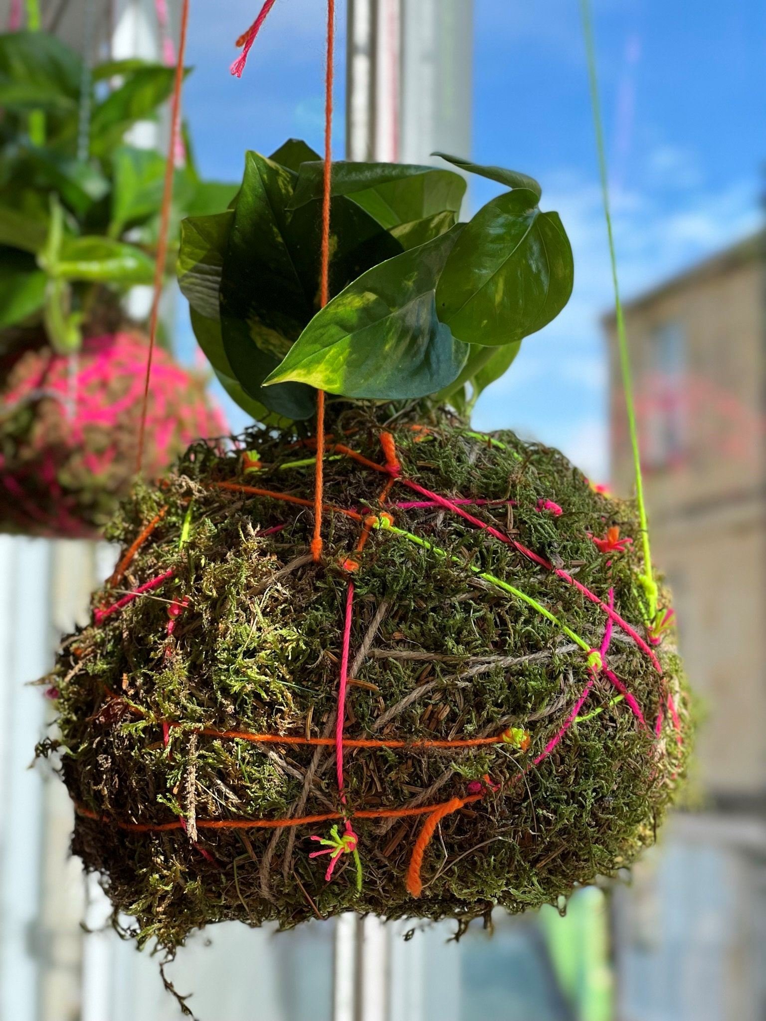 Kokedama from  sustainable floristry foundation course