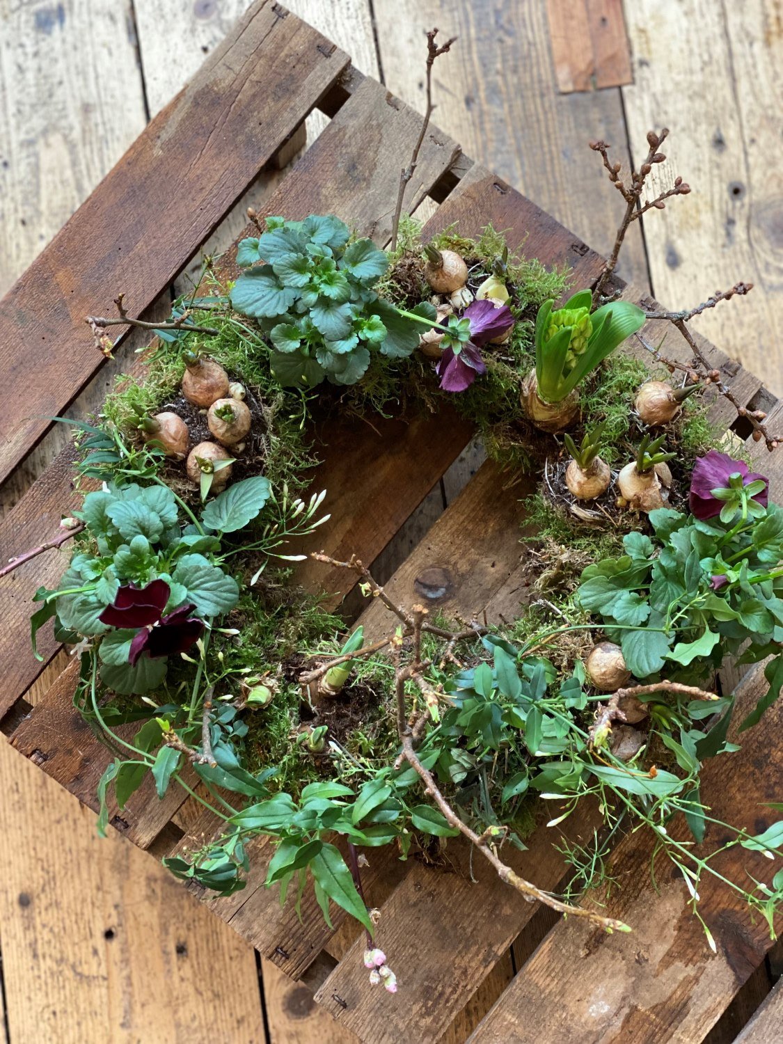 Naturally styled planted wreath displayed on a wooden apple crate