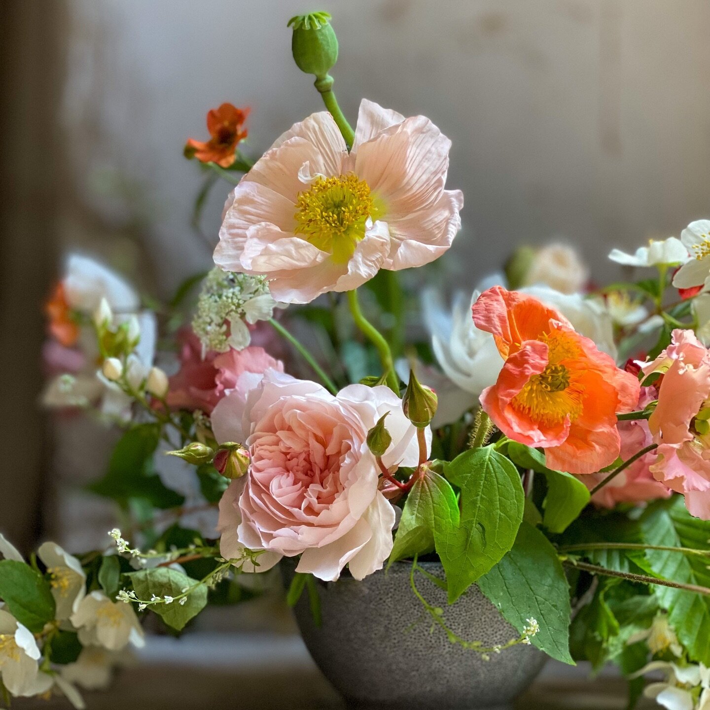 NEW COURSE ALERT! 
New to our 2024 course schedule&hellip;.

FLOWERY COMPOTE BOWL WORKSHOP (AKA FLOWERY TABLE CENTRES)

Immerse yourself in the beauty of each season with our Flowery Compote Bowl Workshop, where sustainable techniques meet the natura