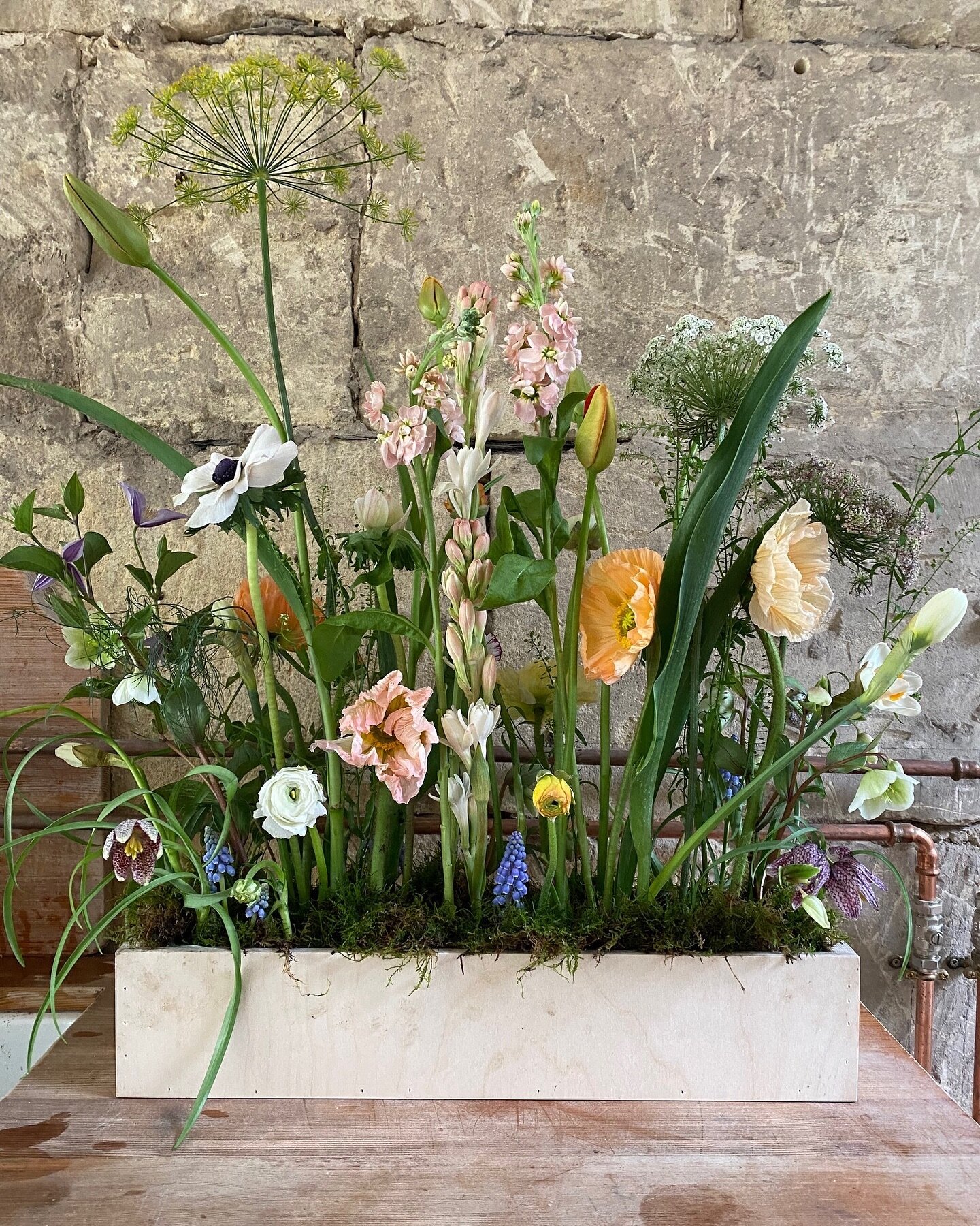 FLORISTY BASICS COURSE

This course is perfect for flower lovers who want to dip their toes into the floristry world or those who are simply wanting to learn basic sustainable methods. 3 days devoted purely to flowers. 3 days of creative playtime.

P