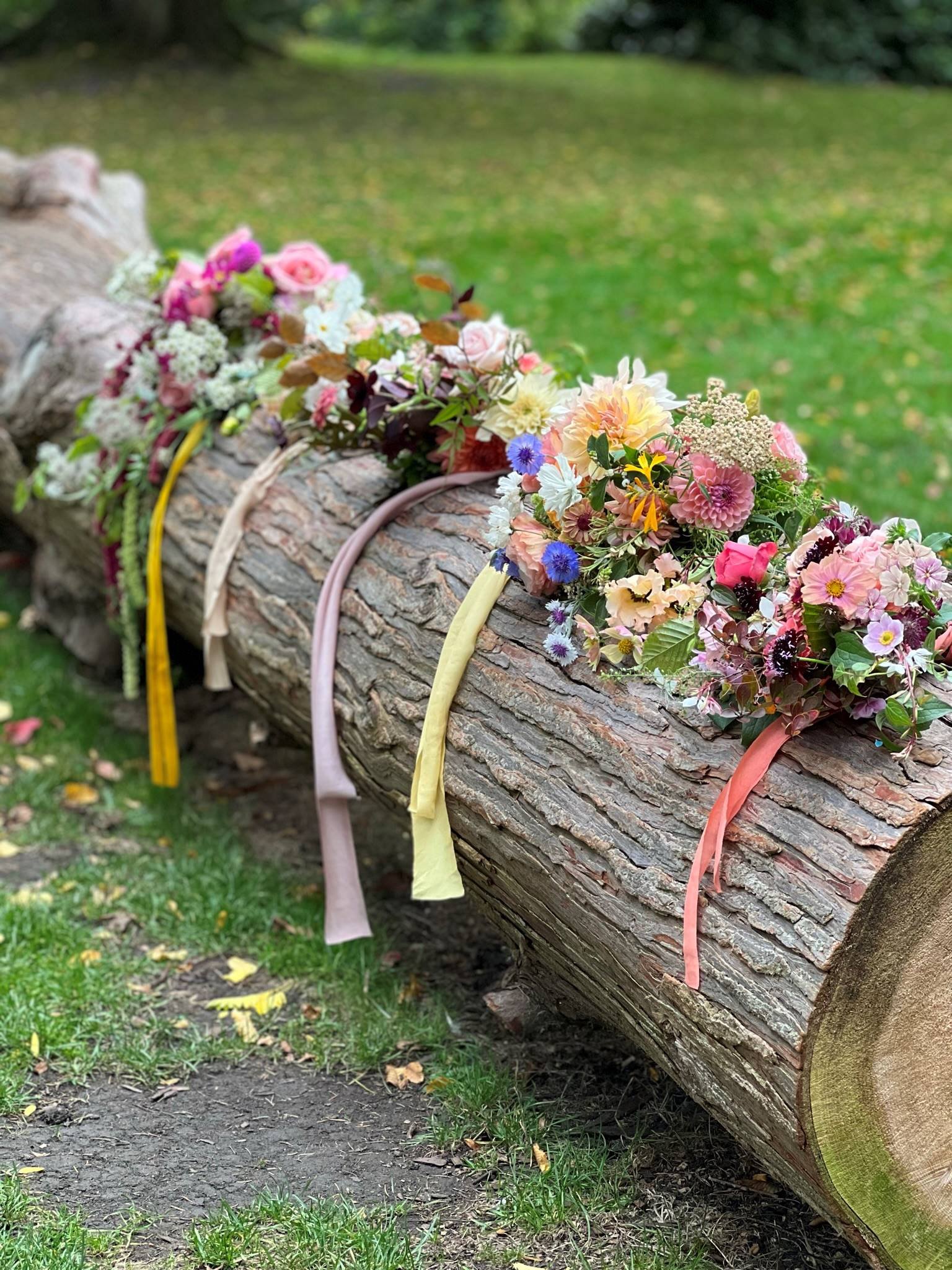 Students bridal bouquets lined on a wooden log in Bath's botanical garden