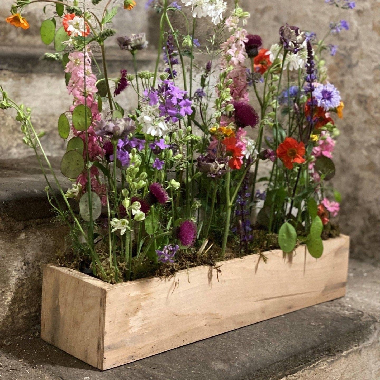 BRITISH FLOWERS WEEK WORKSHOPS

HELLO SPRING! - One day course

Come spend a day with us, immerse yourself in the joys of summer, and learn to create your own hand-tied bouquet and meadow box arrangement.
 
You will be invited to the abundant flower 