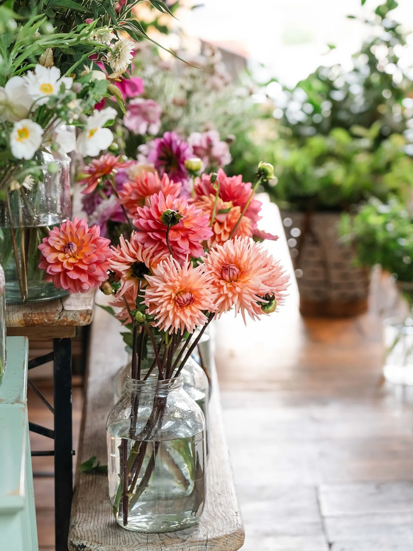 Why Hello October!

October brings with it the full glow of autumn &mdash; golden leaves, crisp mornings, and flowers rich in texture and tone. It&rsquo;s the perfect time to embrace the season and gather inspiration before the winter months ahead. A