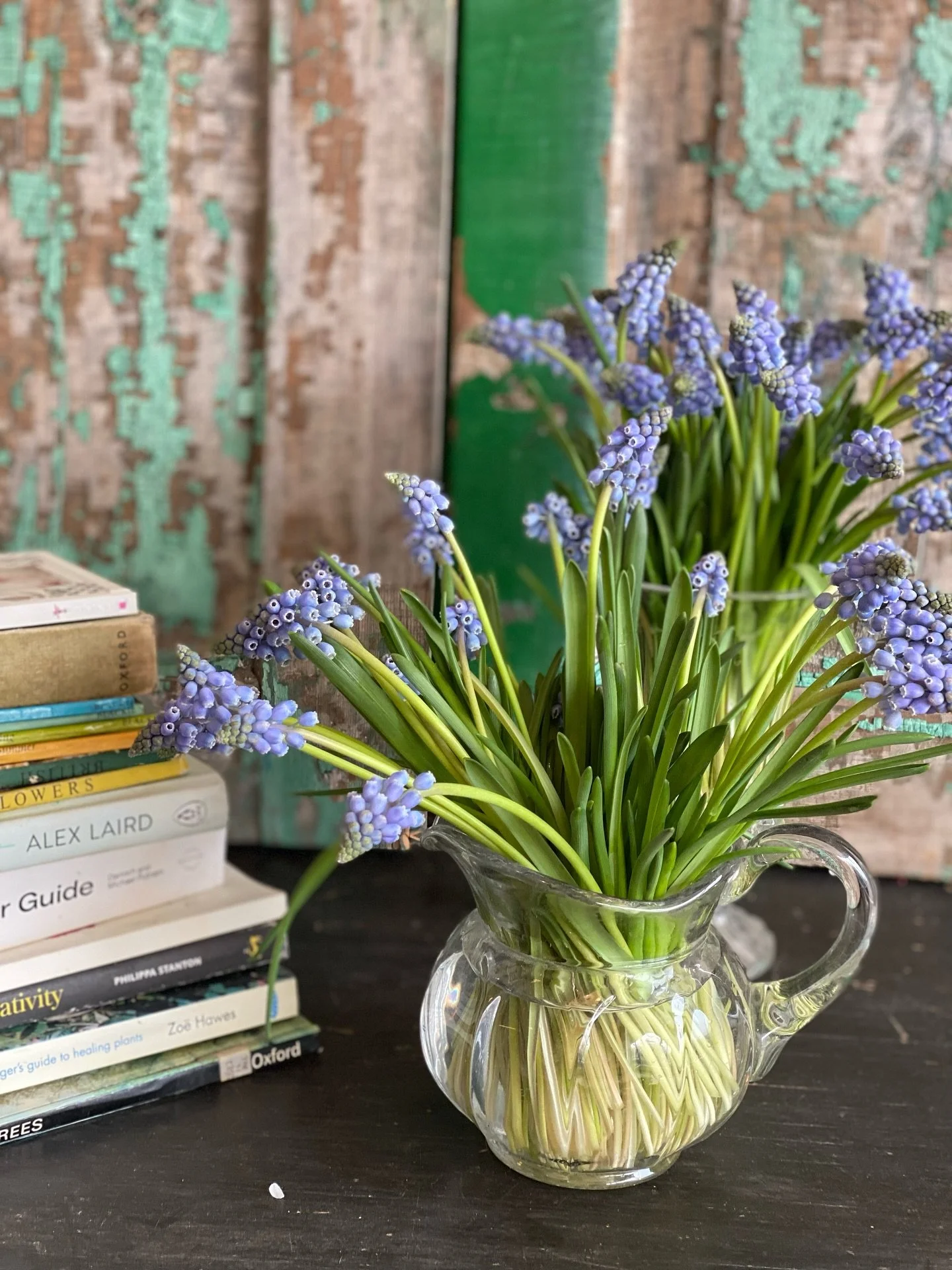 THIS WEEK&rsquo;S FAVOURITE&hellip; Muscari

Often known by their common name, Grape hyacinth, Muscari are small but quietly confident, bringing a freshness and clarity to arrangements that feels unmistakably spring-like. Their compact scale and rich