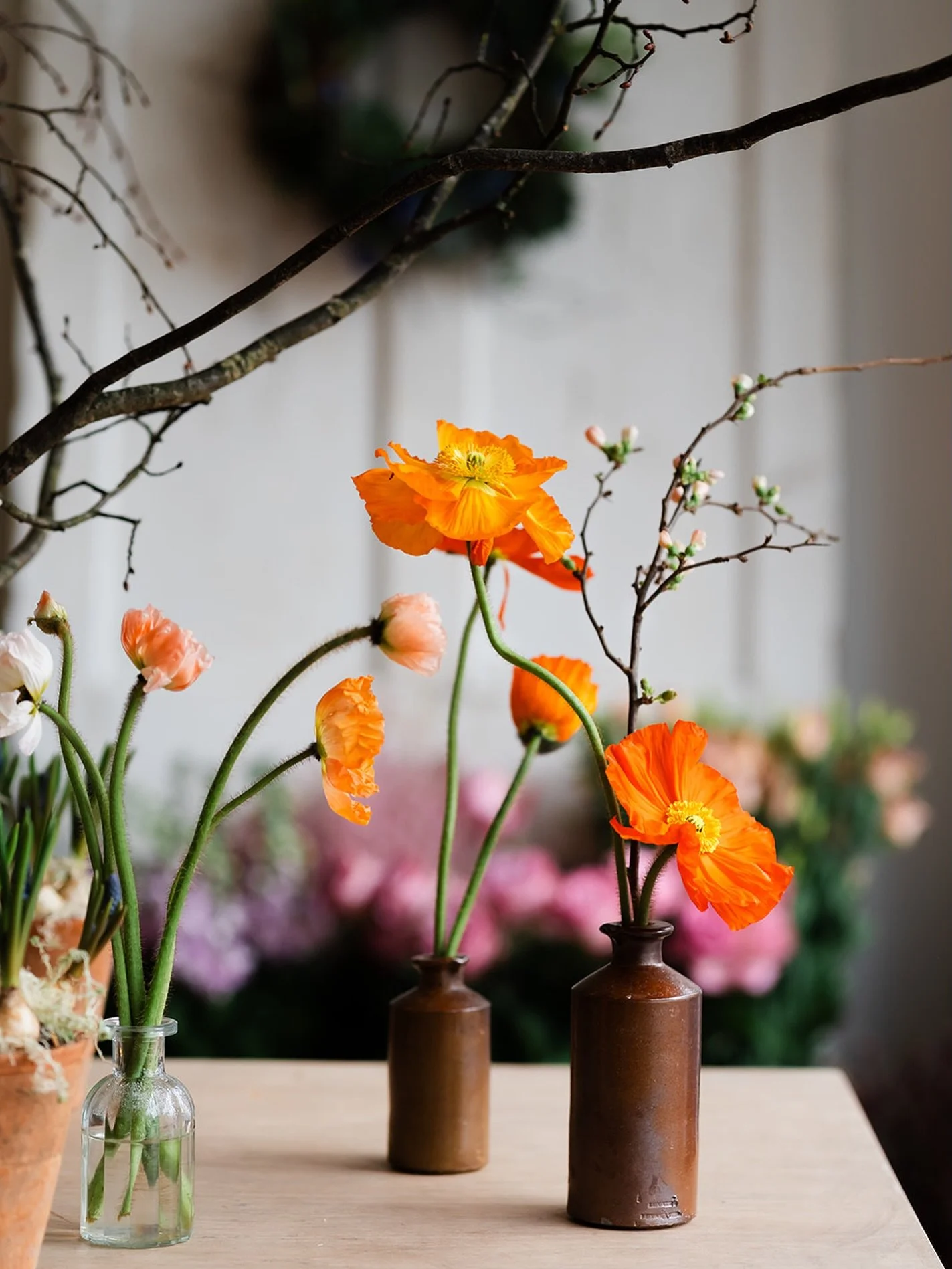 Why hello February!

With longer days and the first signs of spring, we&rsquo;re embracing a month of growth and creativity. This February, we kick off with our intensive two-week Professional Floristry Course, followed by a week devoted to bespoke o