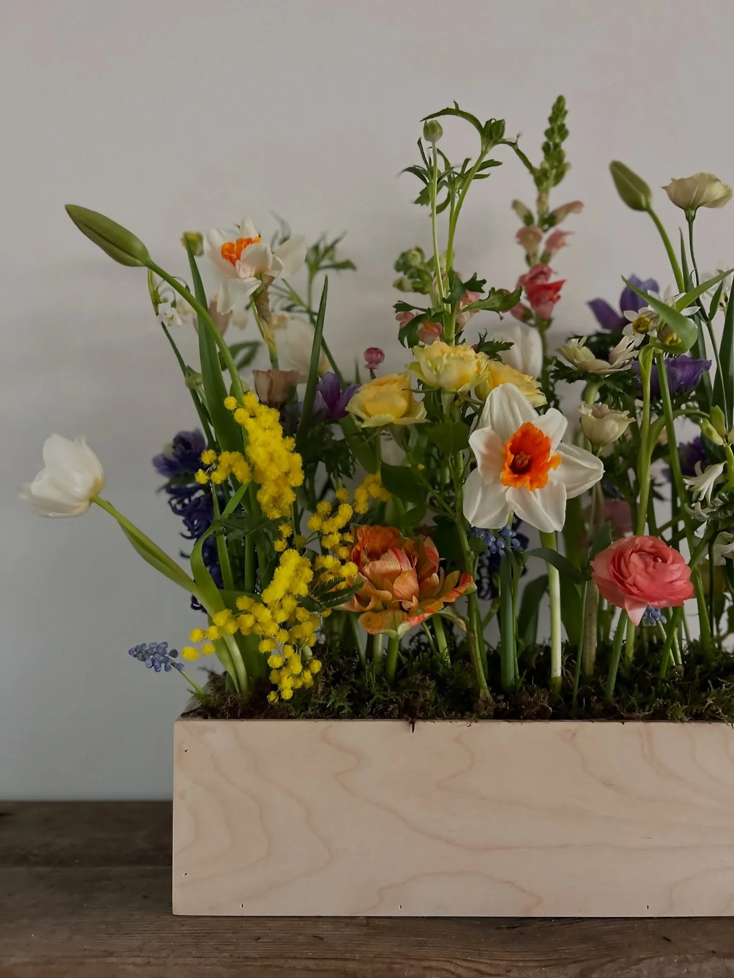 THIS WEEK&rsquo;S FAVOURITE&hellip;Narcissi

Narcissi are one of those flowers that instantly change the feel of a space. Familiar, fresh and full of light, they bring a sense of optimism to arrangements that feels effortless and very much of the sea