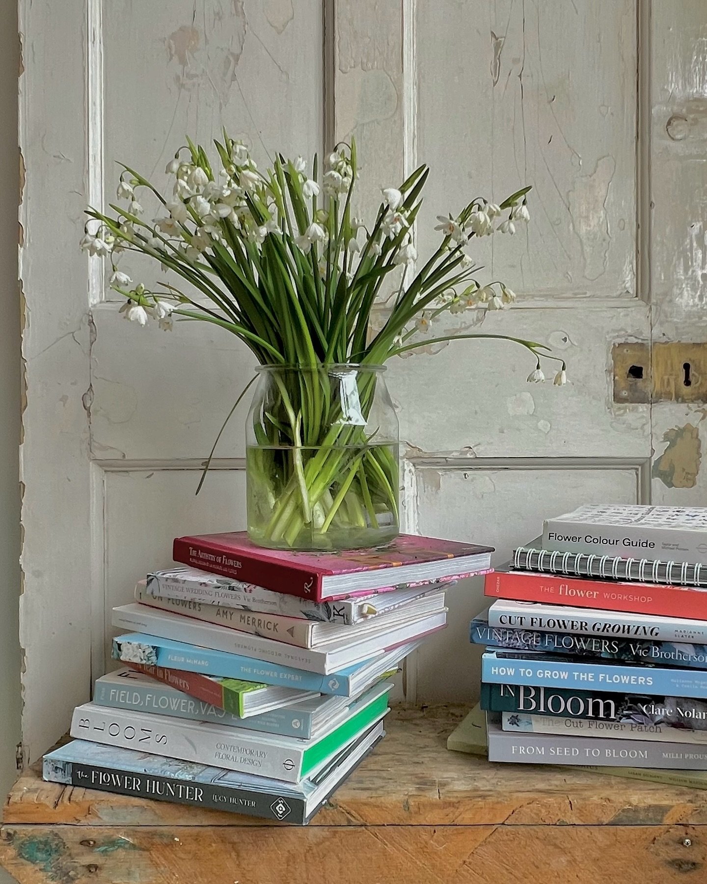 THIS WEEK&rsquo;S FAVOURITE&hellip; Leucojum

Often mistaken for snowdrops, leucojum have a very different presence once you look more closely. Bell shaped, balanced and quietly elegant, they bring a calm, considered feel to arrangements that work be
