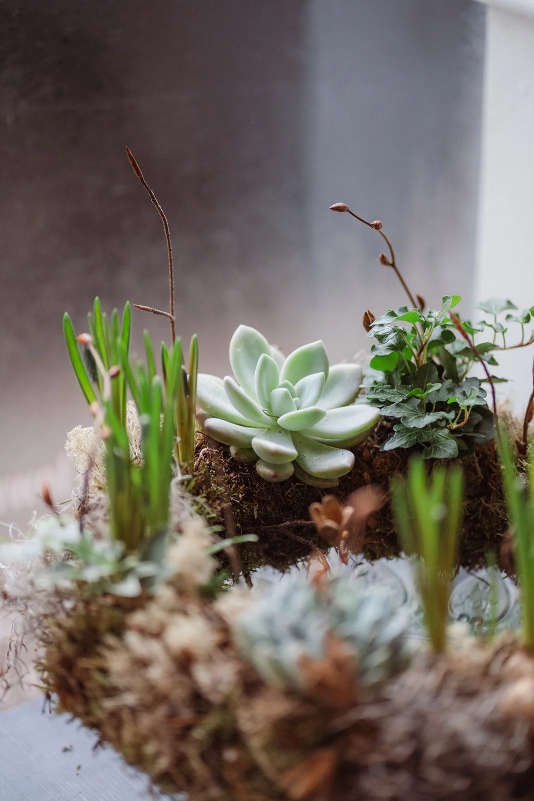 Spring Living Wreath