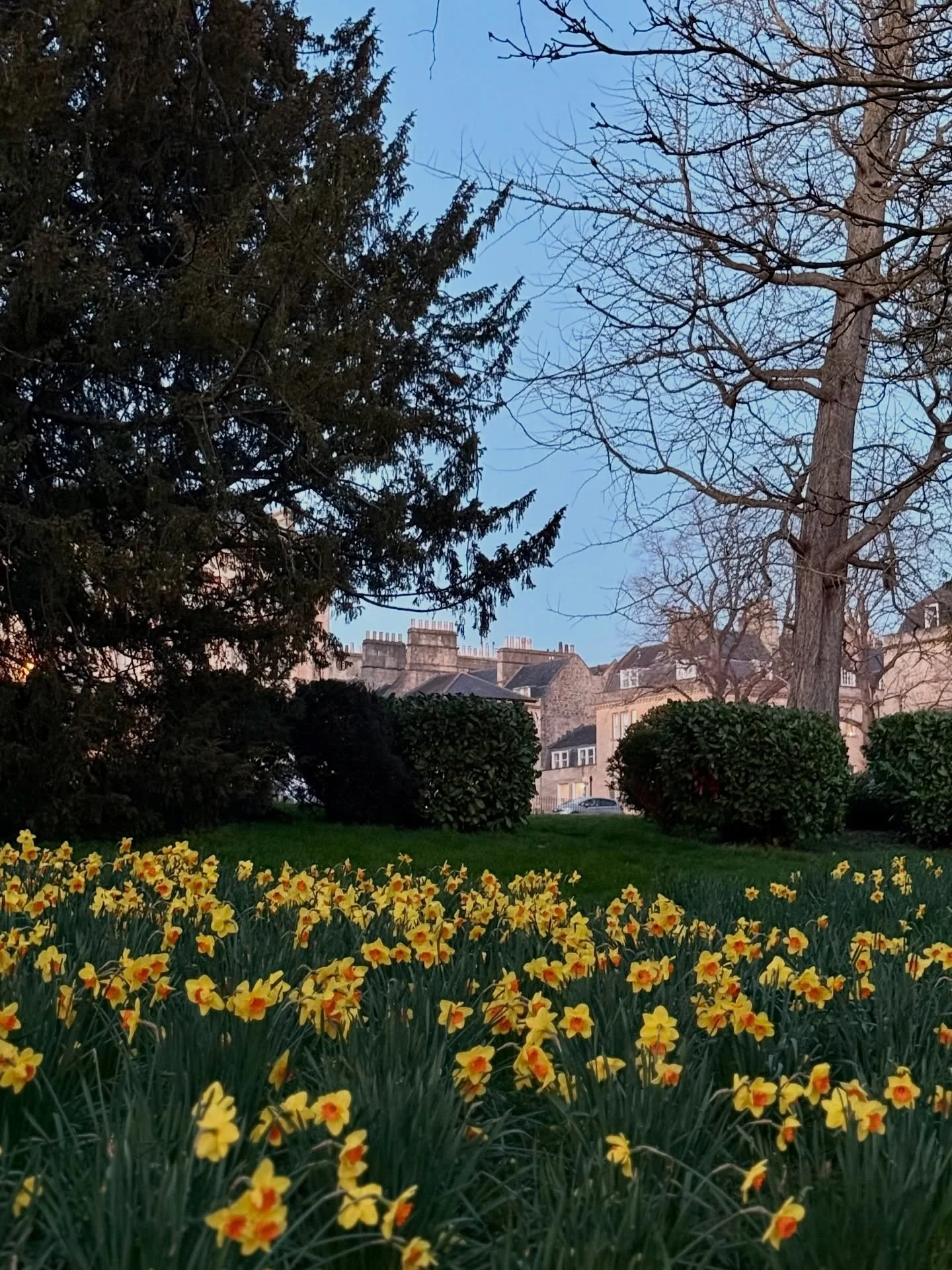 So, it&rsquo;s officially spring. Whoop, whoop!

The sunshine this week has been such a welcome tonic, it really does feel uplifting and full of promise.

Whilst we&rsquo;re already surrounded by beautiful imported spring flowers at the flower school