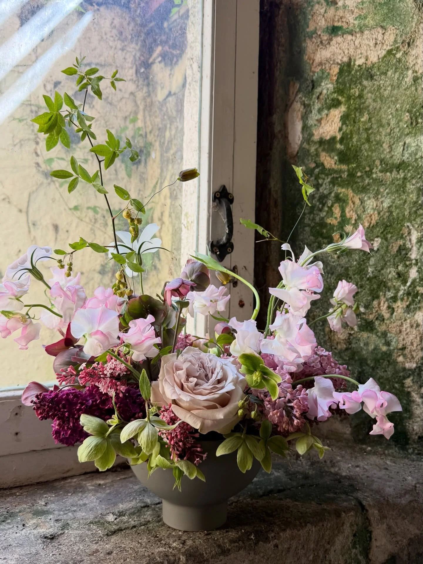 THIS WEEK&rsquo;S FAVOURITE&hellip; Sweet Peas

Delicate, scented and full of movement, sweet peas are one of those flowers that instantly announce the arrival of the British growing season. Their soft ruffled petals and climbing tendrils bring a lig