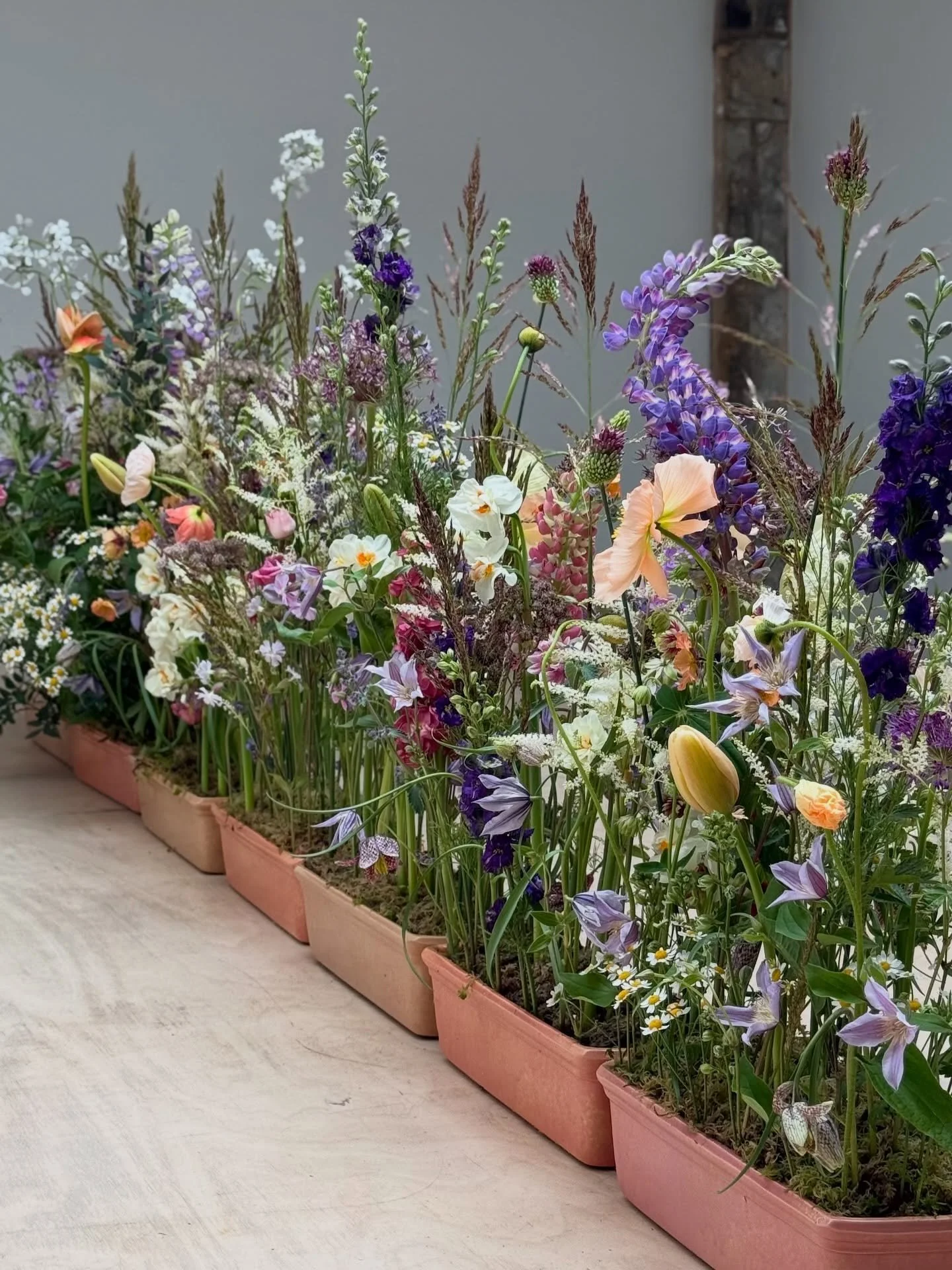 2 Week Professional Floristry Course
Day Five

Today was all about shape, movement and scale as we explored vase arrangements and meadow style floristry.

Students spent the morning working on vase arrangements, learning how to create balance and str