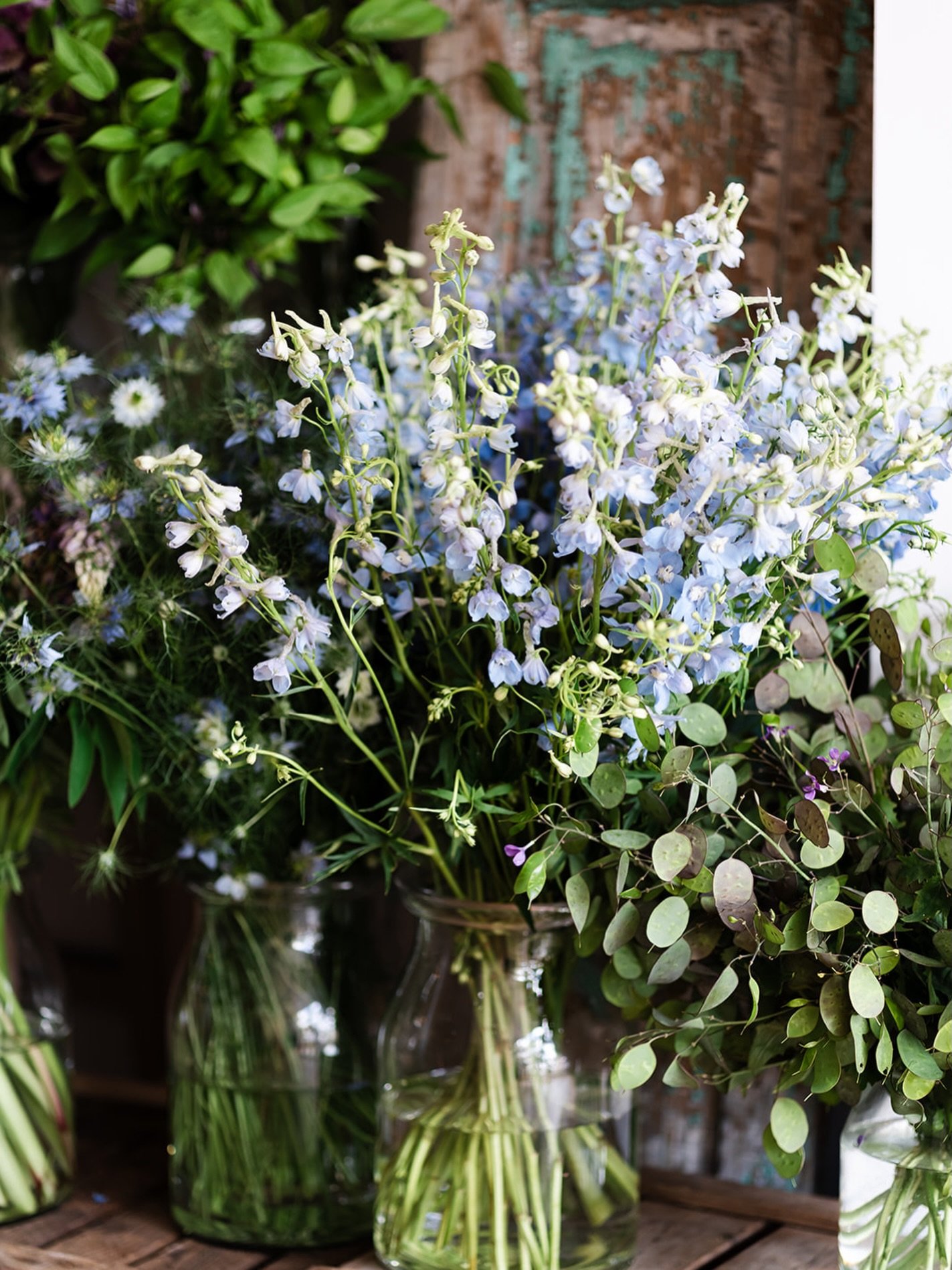 Why Hello June!

We have the most wonderful month ahead. Here&rsquo;s what&rsquo;s coming up at the flower school.

4th
DIY Wedding Flowers Course &ndash; SOLD OUT!
Plan your own dream wedding blooms! This course gives you everything you need to crea