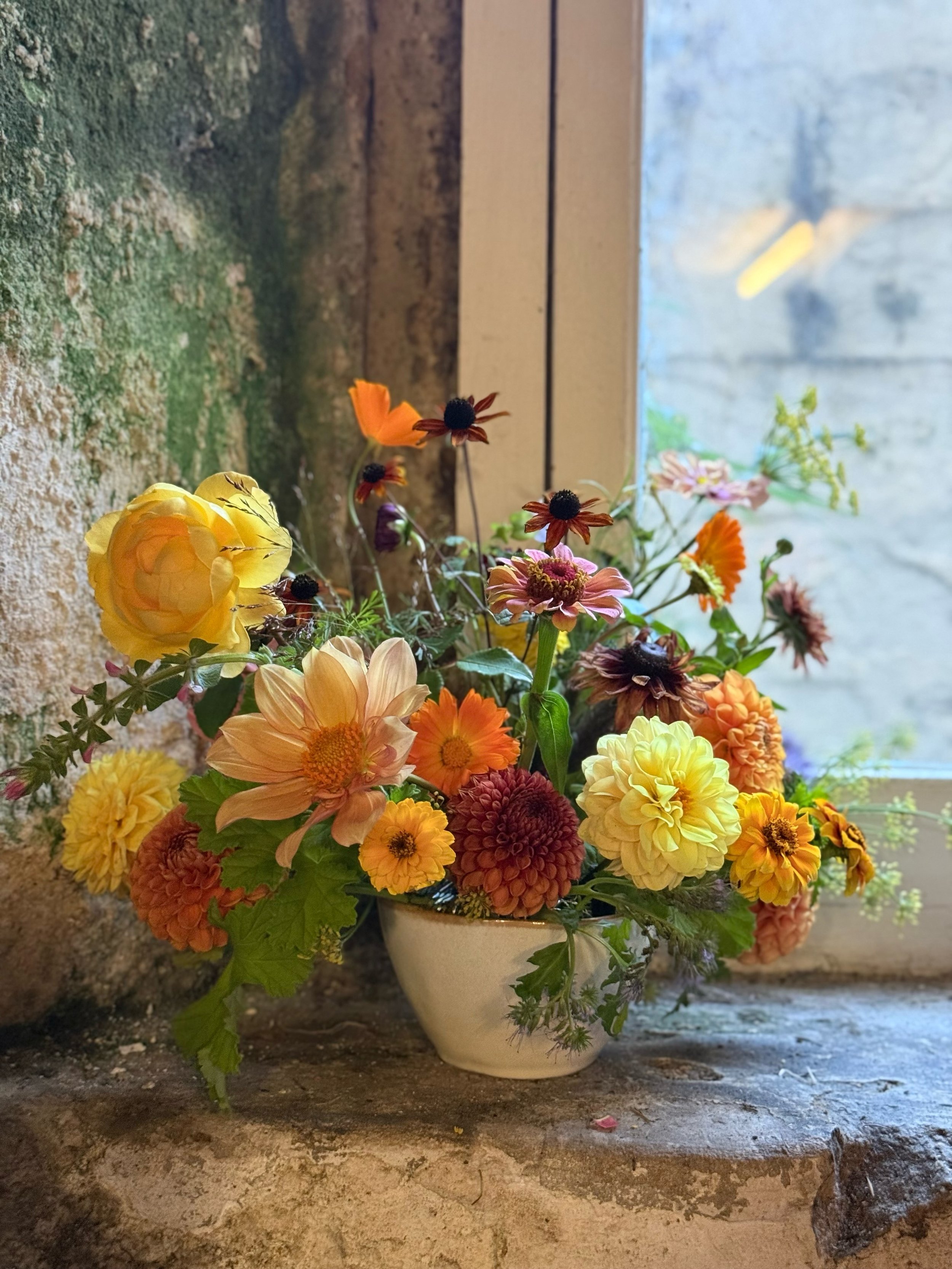 A place has come free

Our Professional Floristry Course, 14th to 25th September, has been fully booked since the spring.

A place has just come free.

Two weeks devoted entirely to becoming a florist. Not just the flowers, though there are a great m
